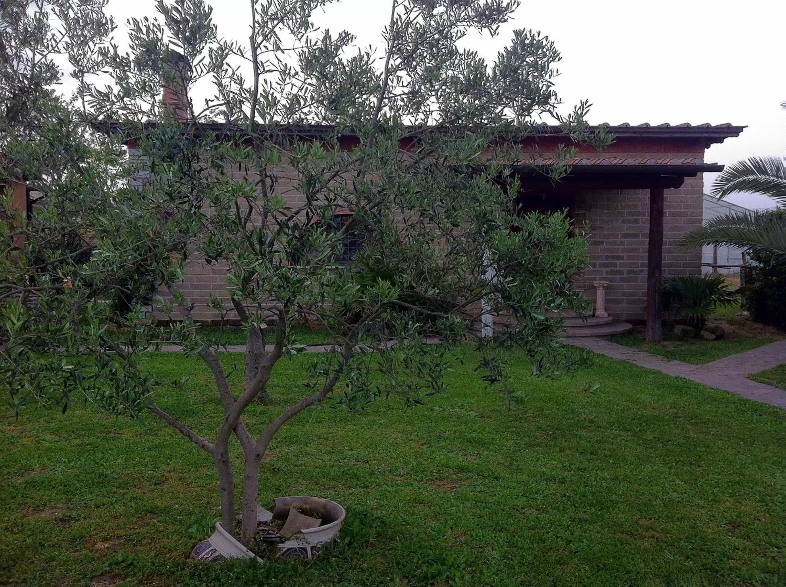 Garden in AgriSesto B&B