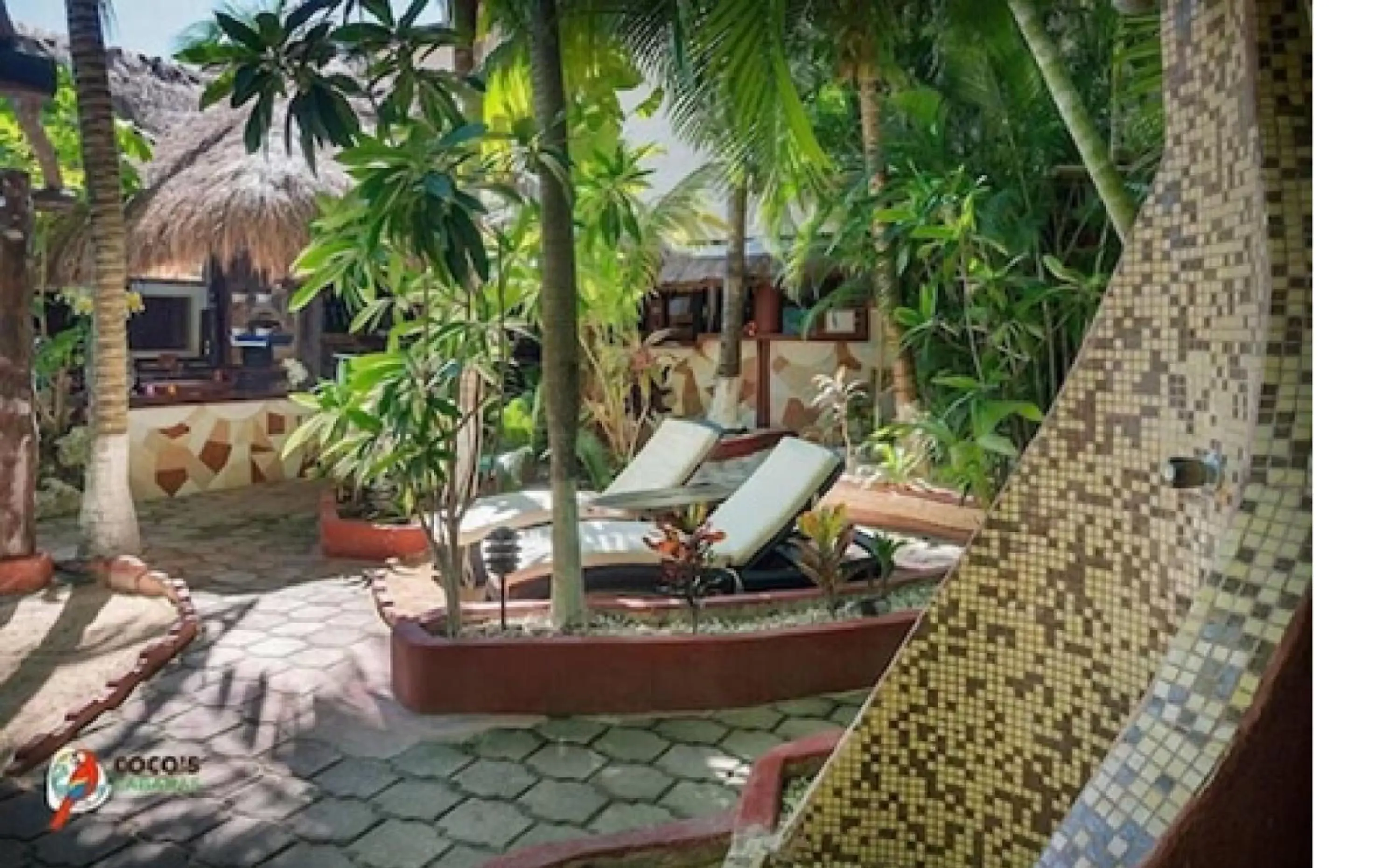 Swimming pool in Cocos Cabañas Playa del Carmen Adults Only Swimming pool in Cocos Cabañas Playa del Carmen Adults Only