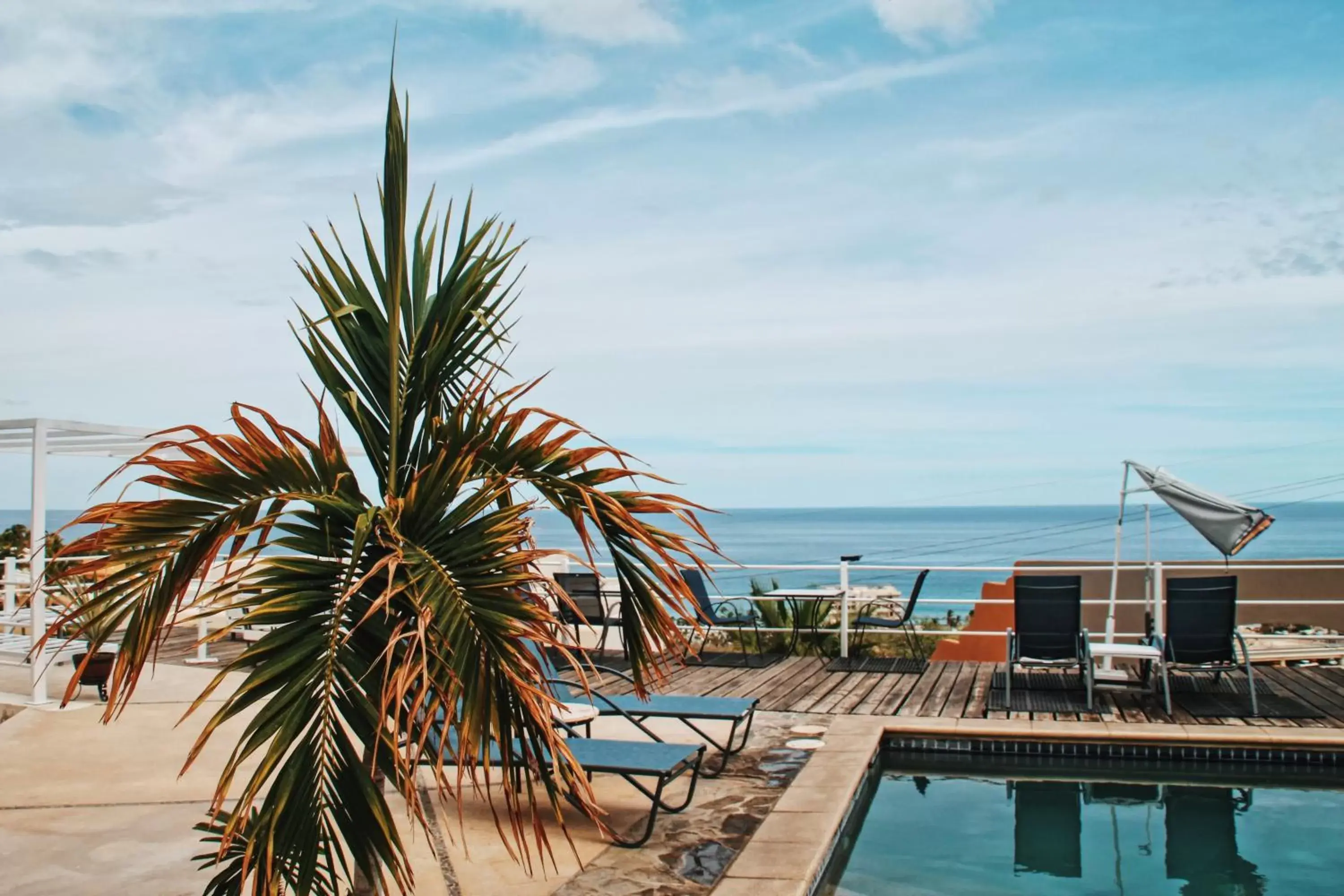 Solarium, Swimming Pool in MariaMar Suites