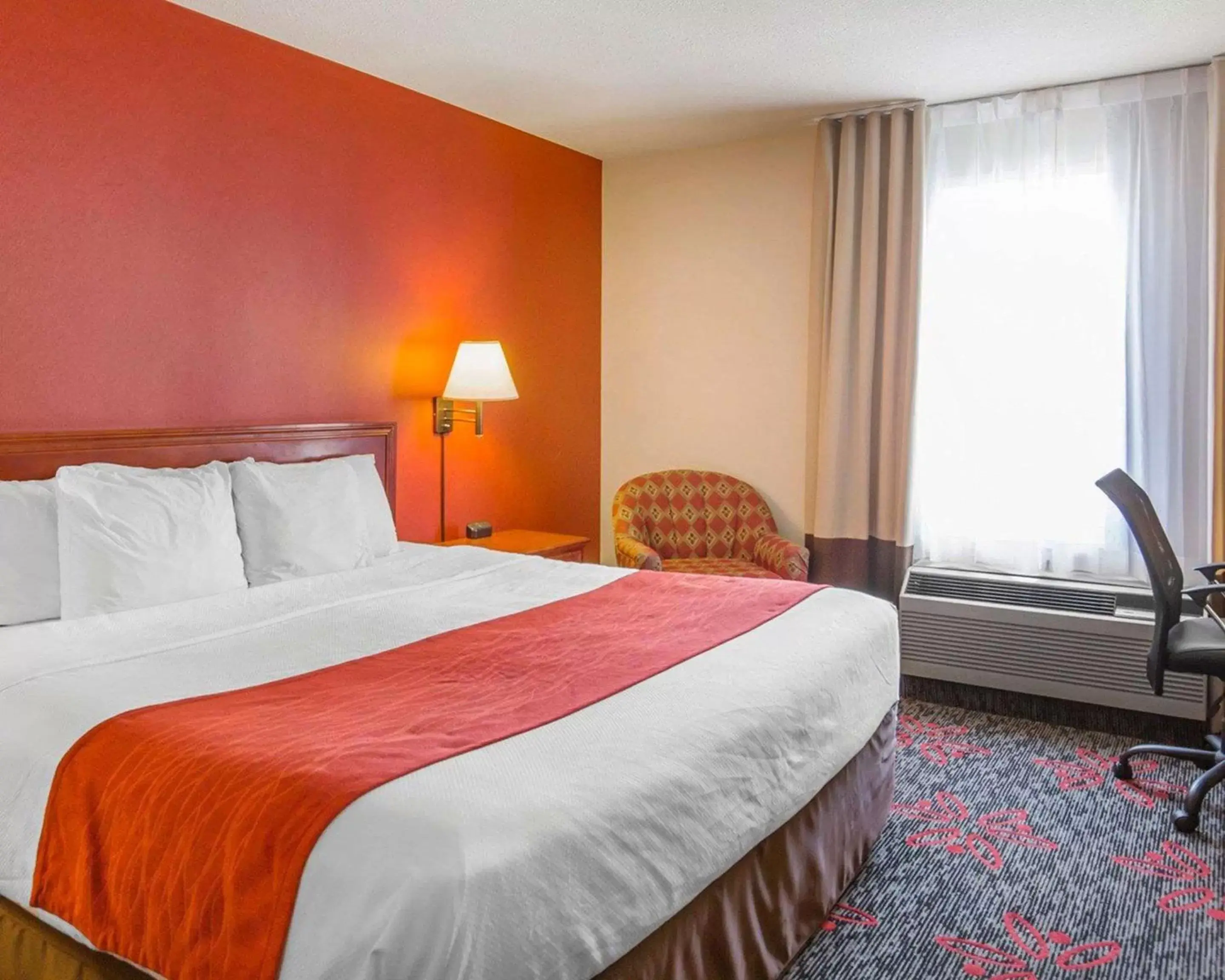 Photo of the whole room, Bed in Comfort Inn & Suites University Photo of the whole room, Bed in Comfort Inn & Suites University