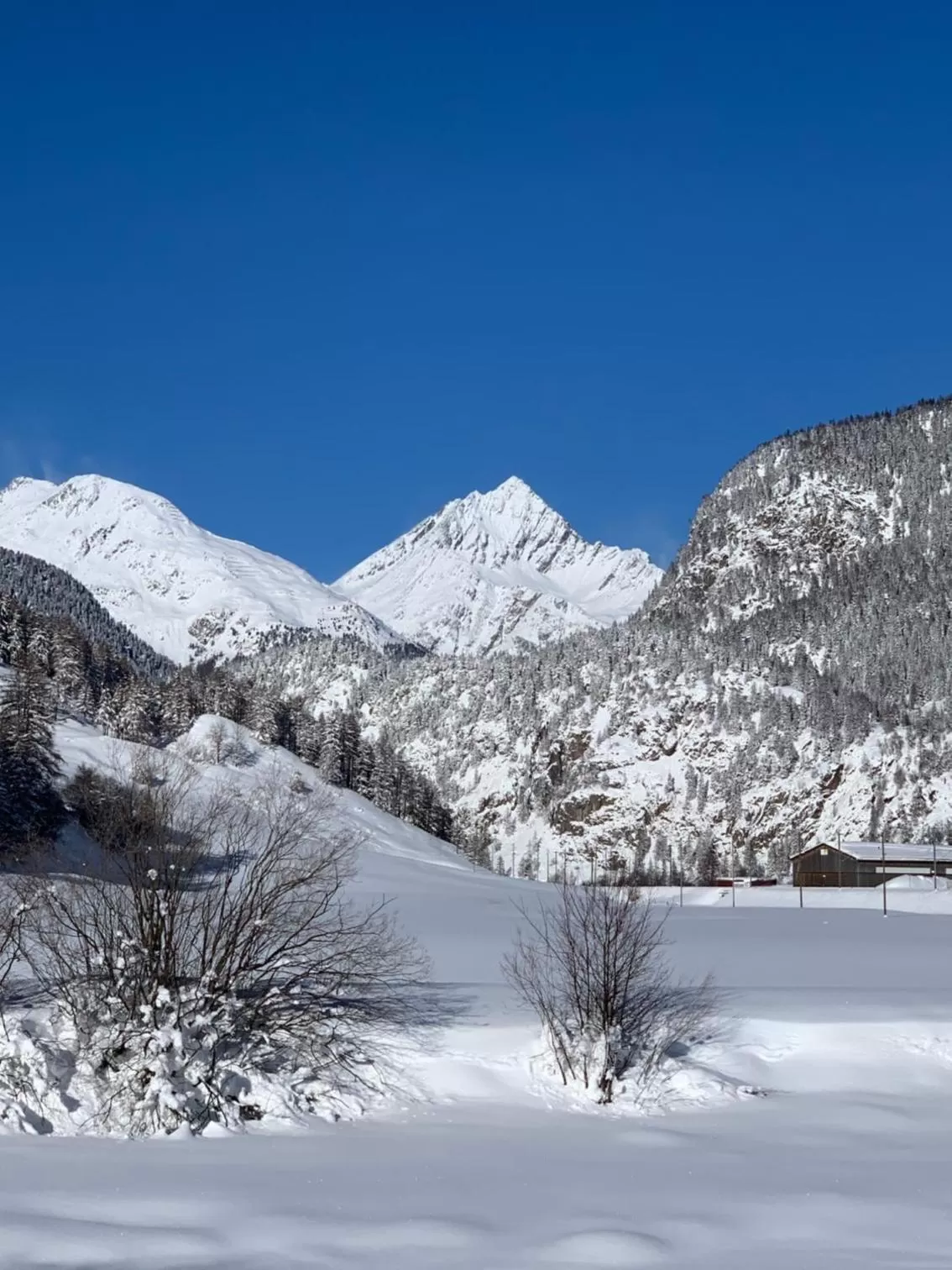 Natural landscape in Hotel Spöl Restaurant