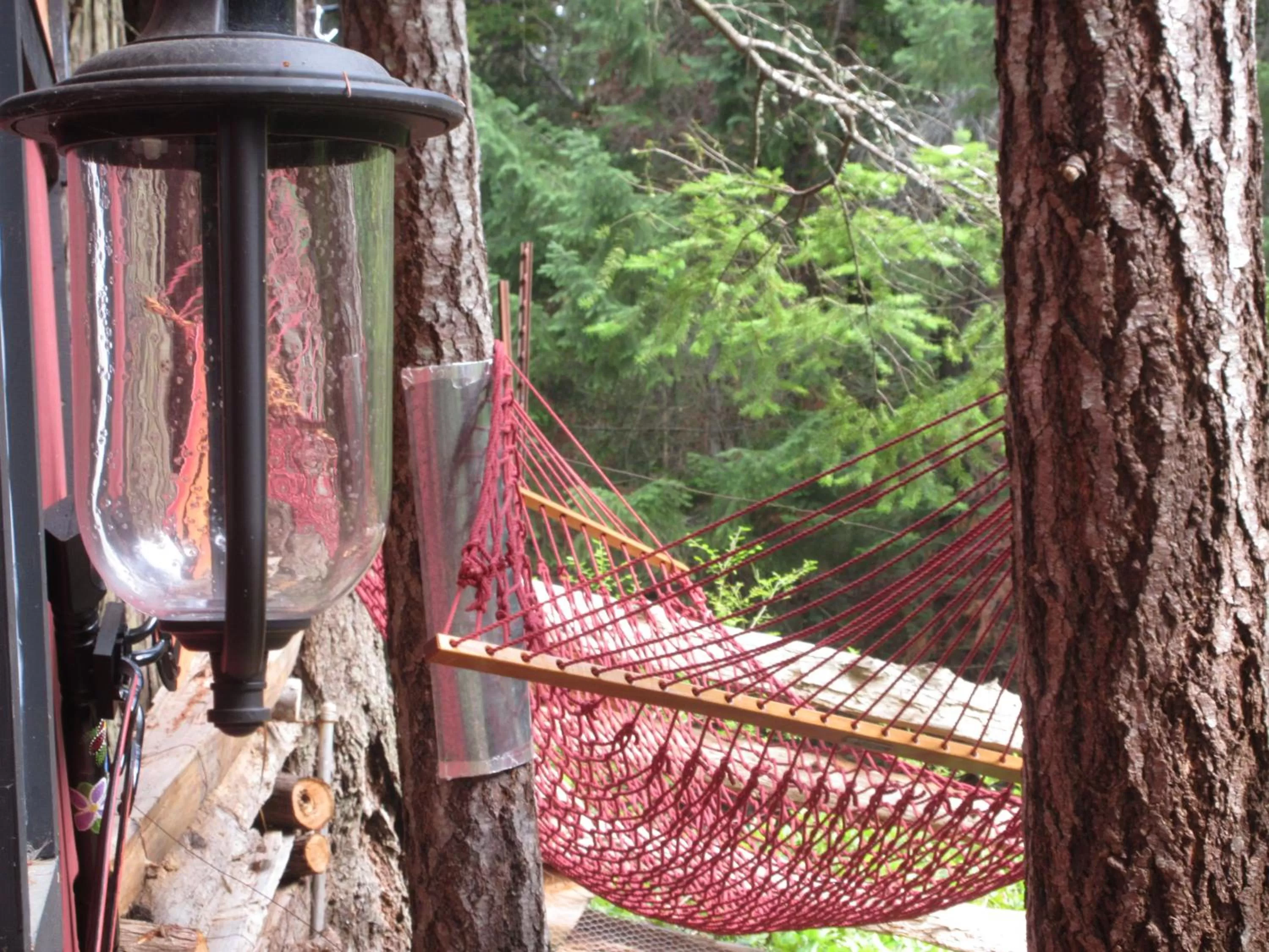 Activities in Magnolia Petal