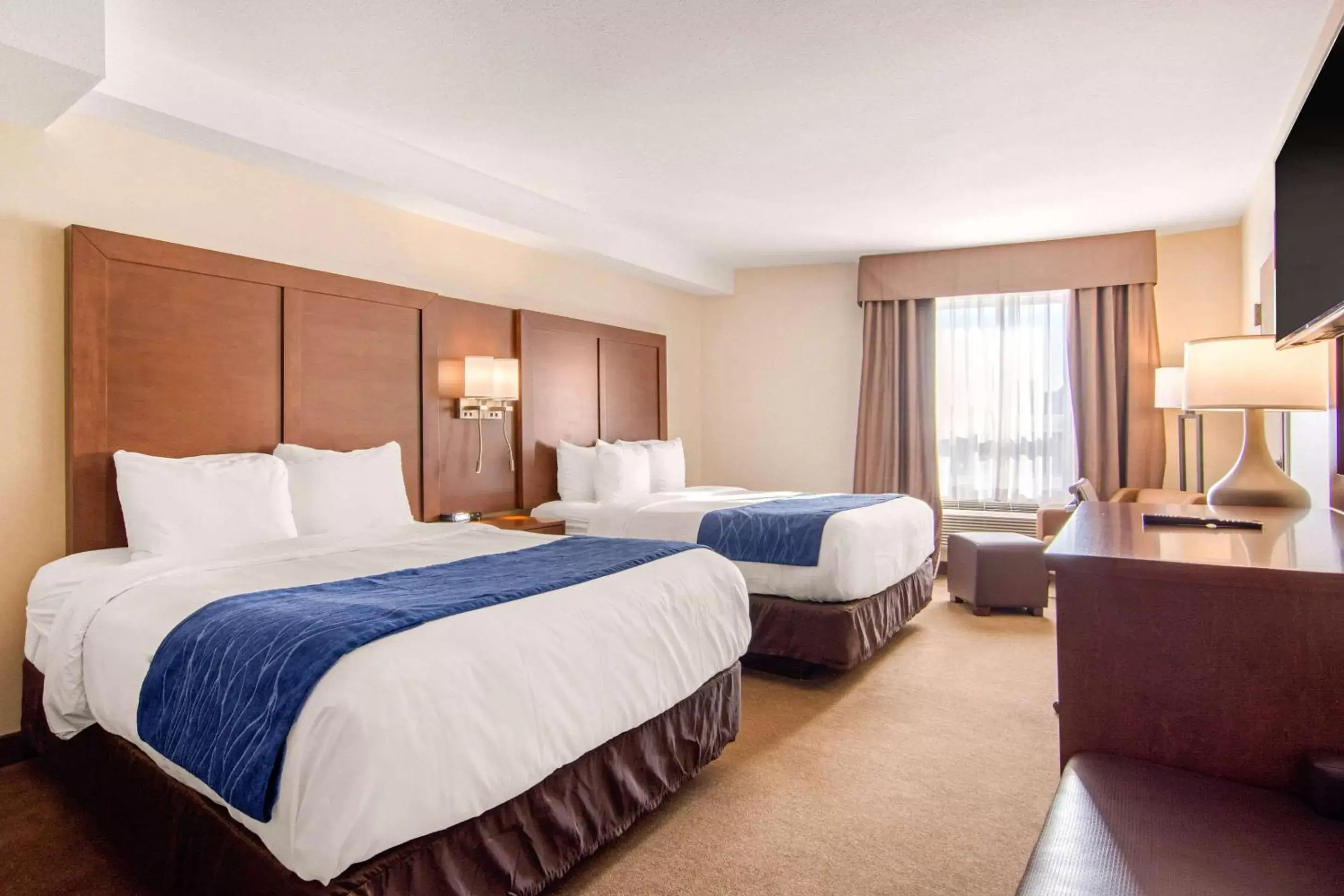 Photo of the whole room, Bed in Comfort Inn & Suites Medicine Hat