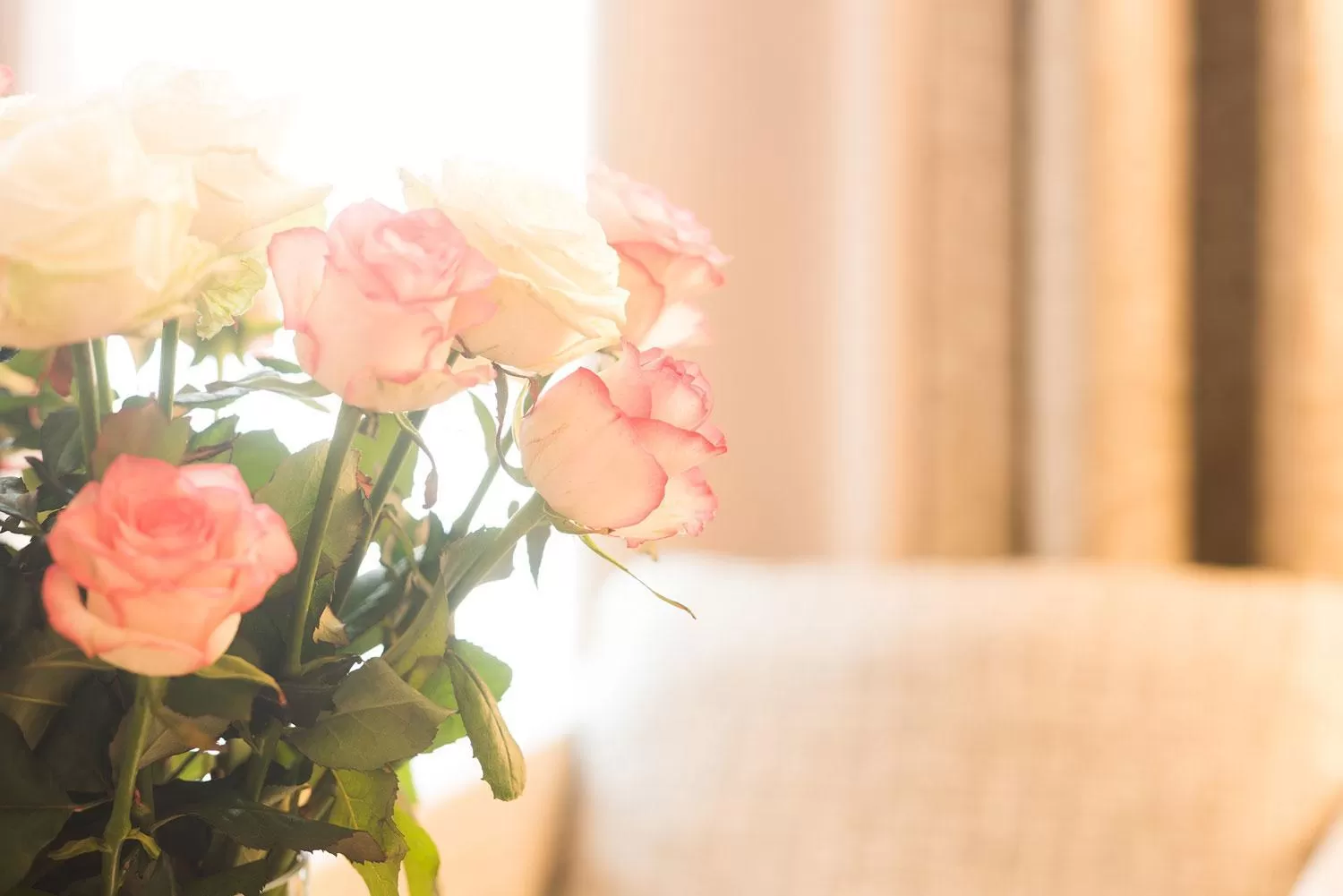 Photo of the whole room in Hotel Bayerischer Hof