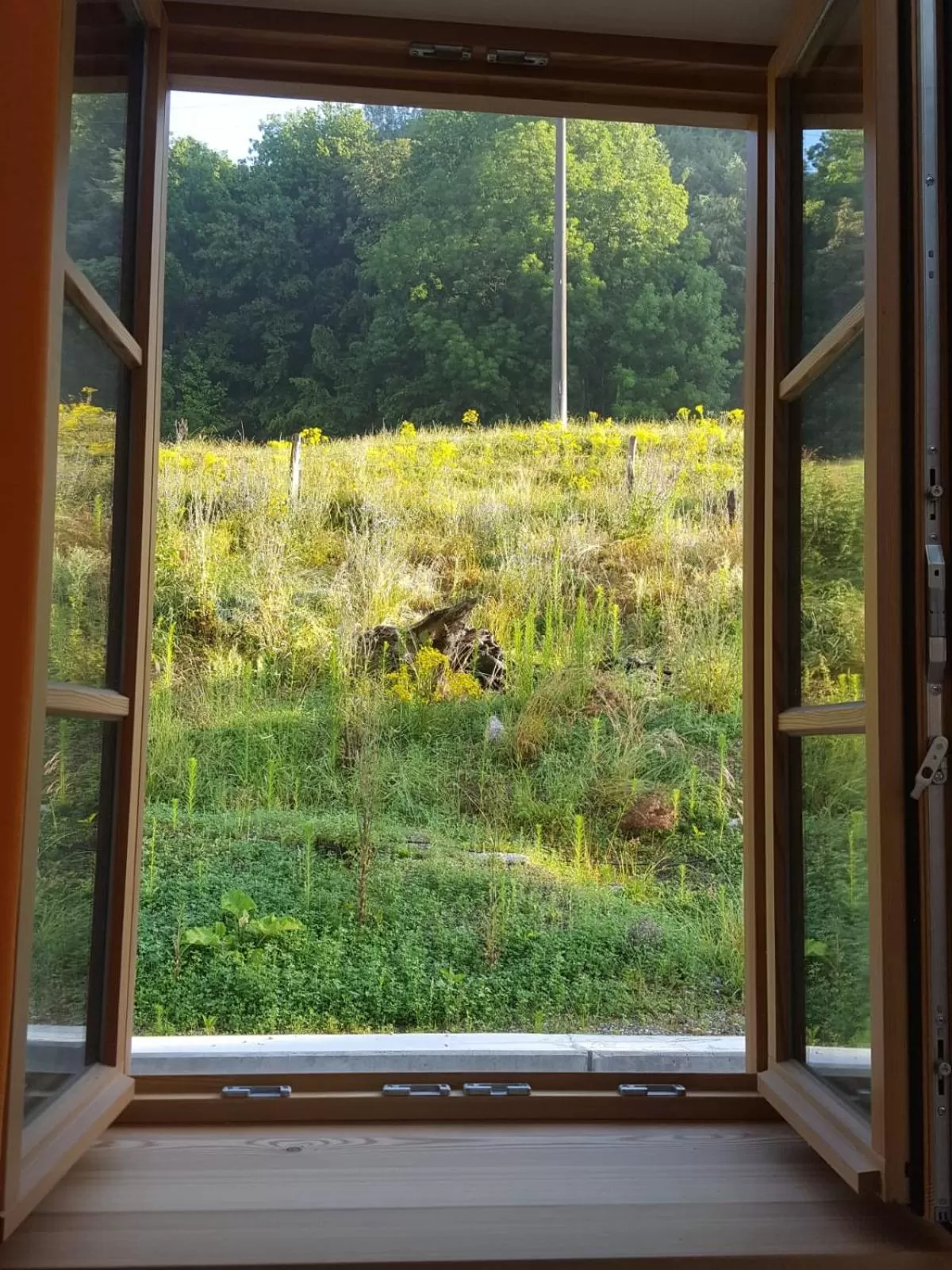 Garden view in Sunhill Appartments, klimatisiert
