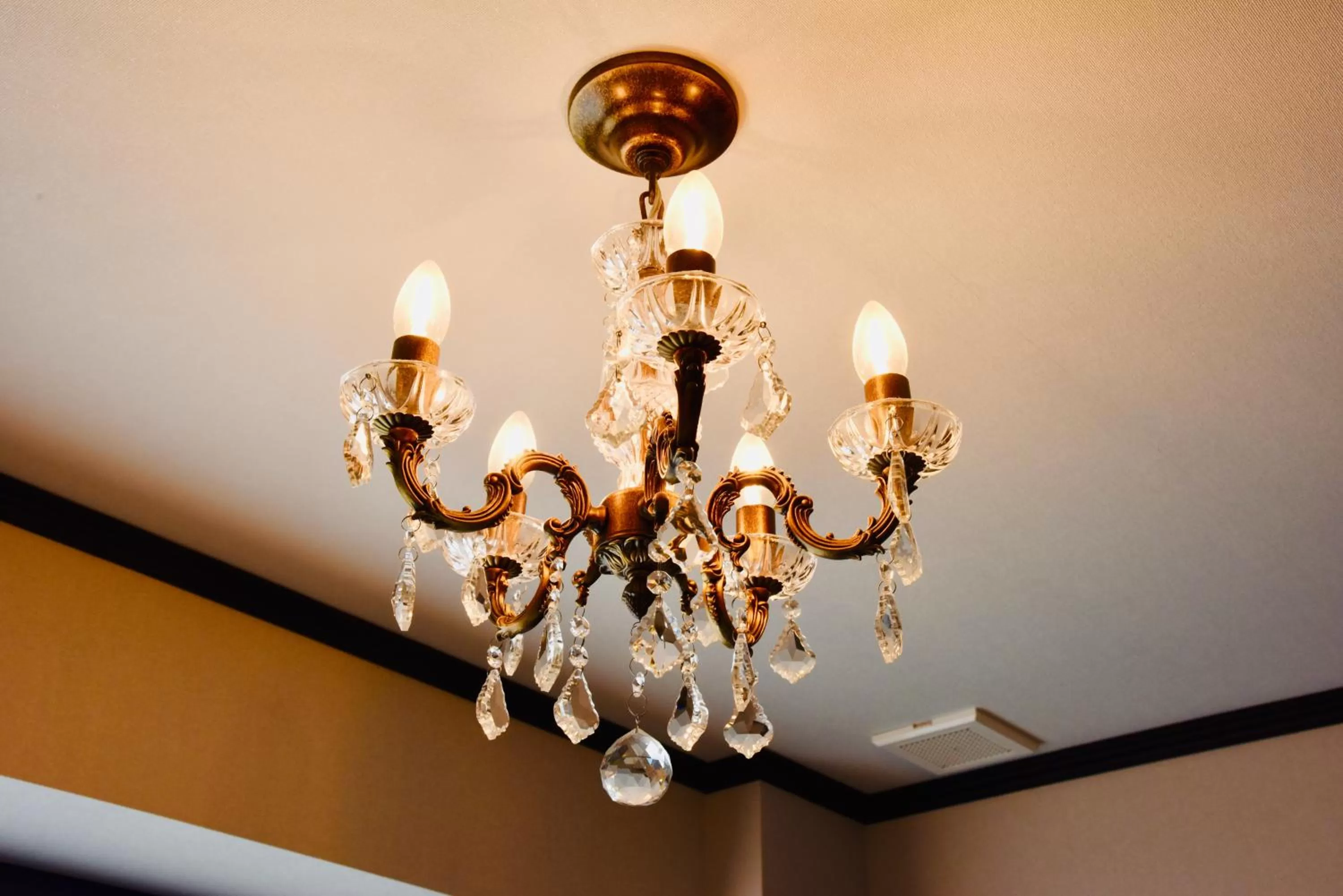 Photo of the whole room in Hotel Sonia Otaru