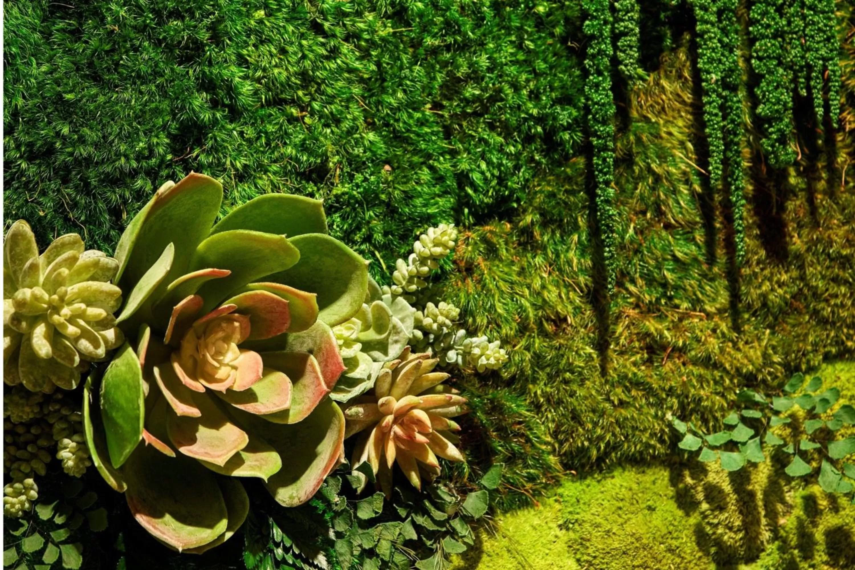 Lobby or reception in Westin Georgetown, Washington D.C.