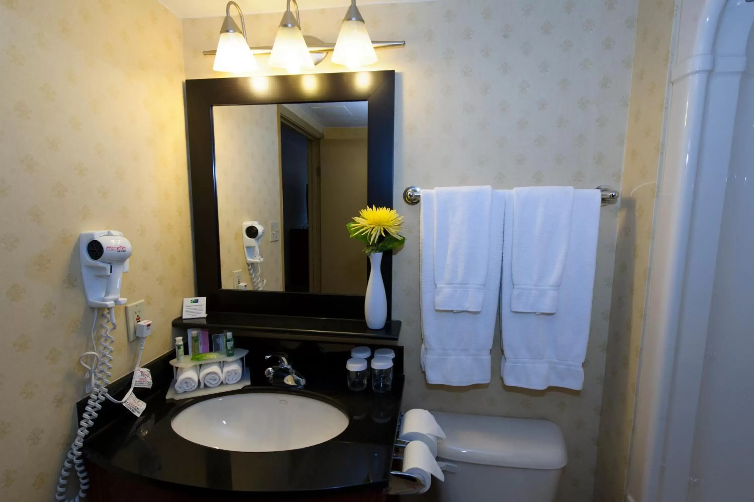 Bathroom in Allure Hotel & Suites - London Downtown