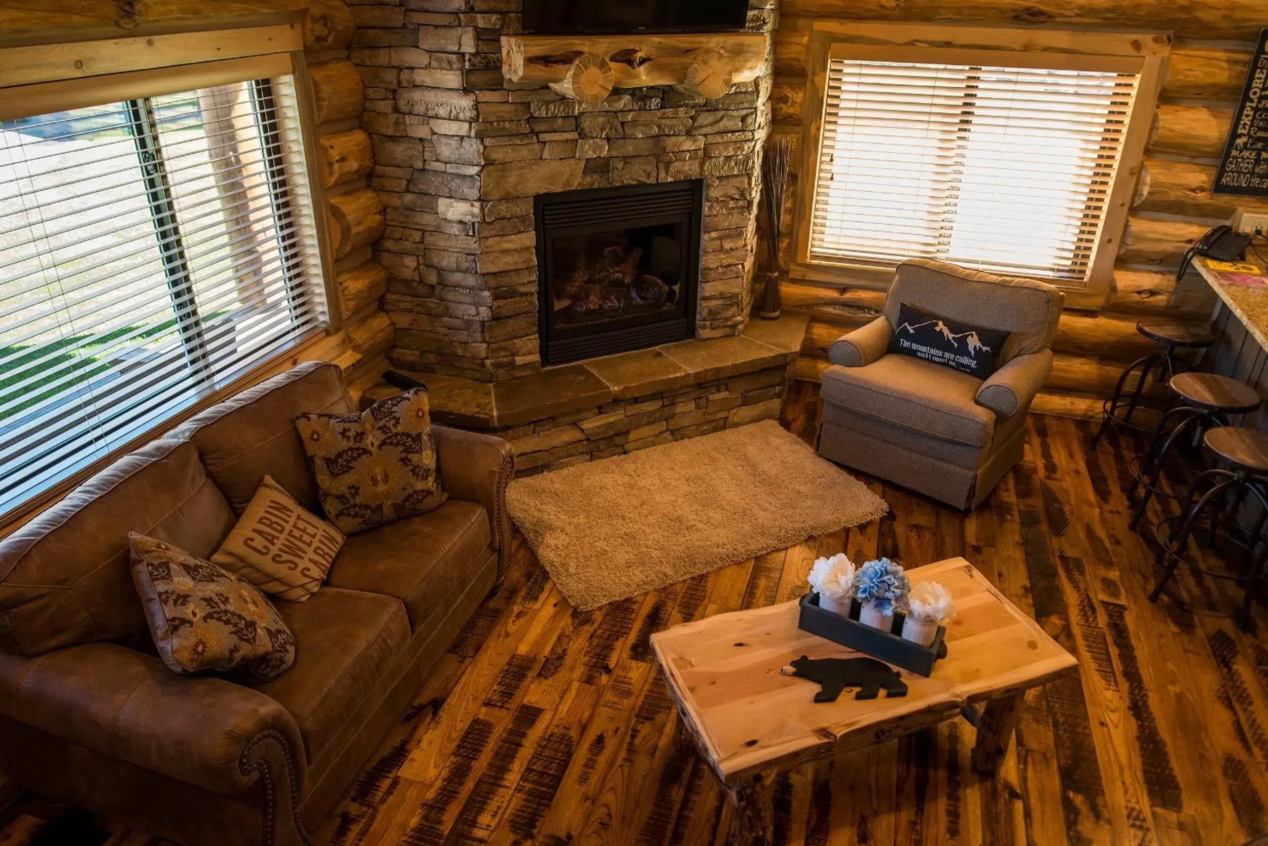 Living room, Lounge/Bar in Kodiak Mountain Resort