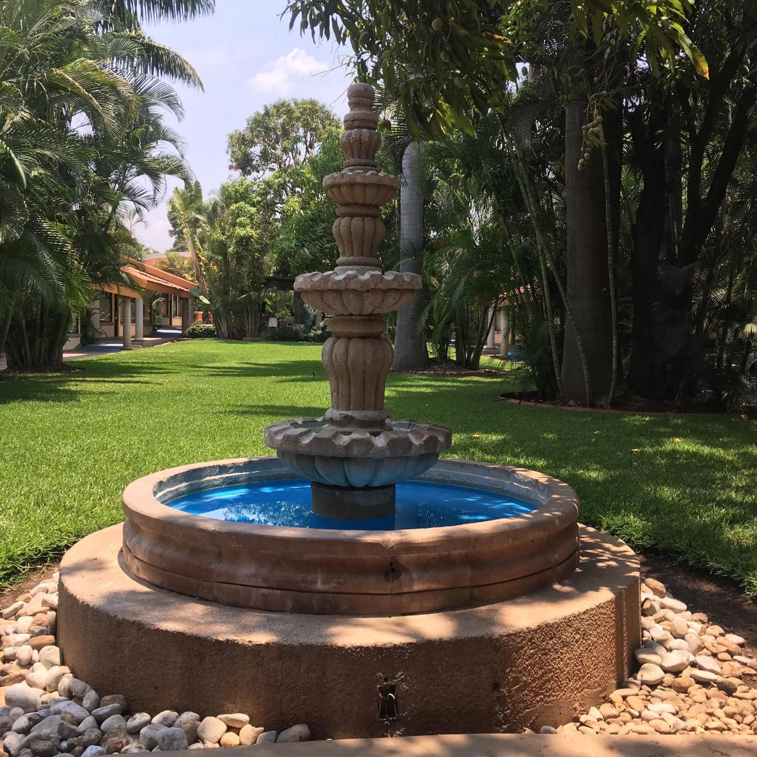 Garden in Hotel Palmareca