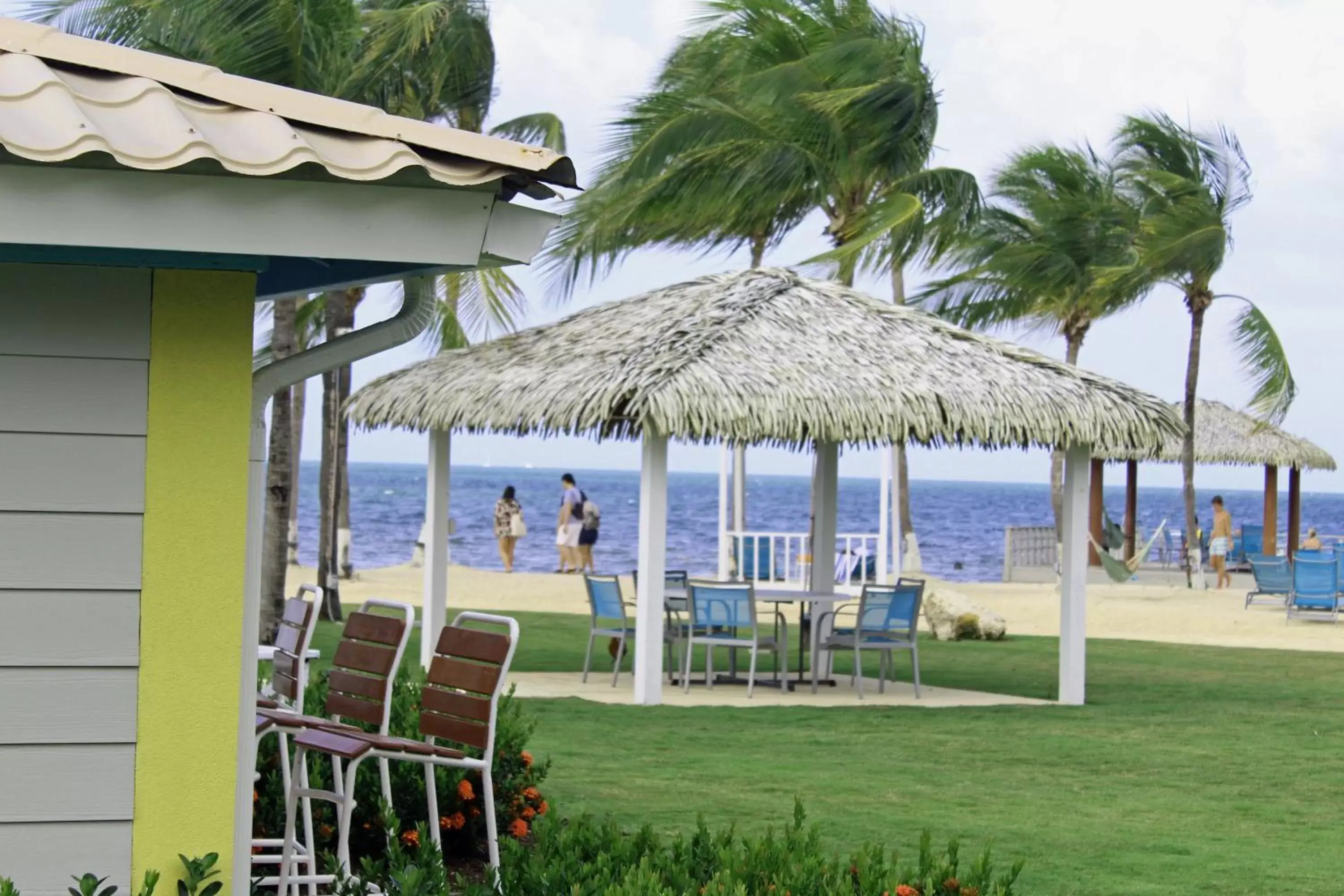 Beach in Holiday Inn Resort Grand Cayman, an IHG Hotel