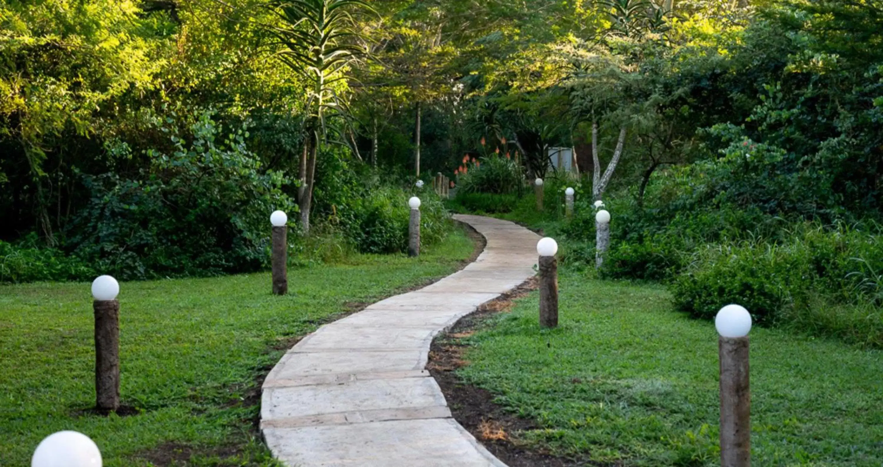 Garden in ANEW Hotel Hluhluwe