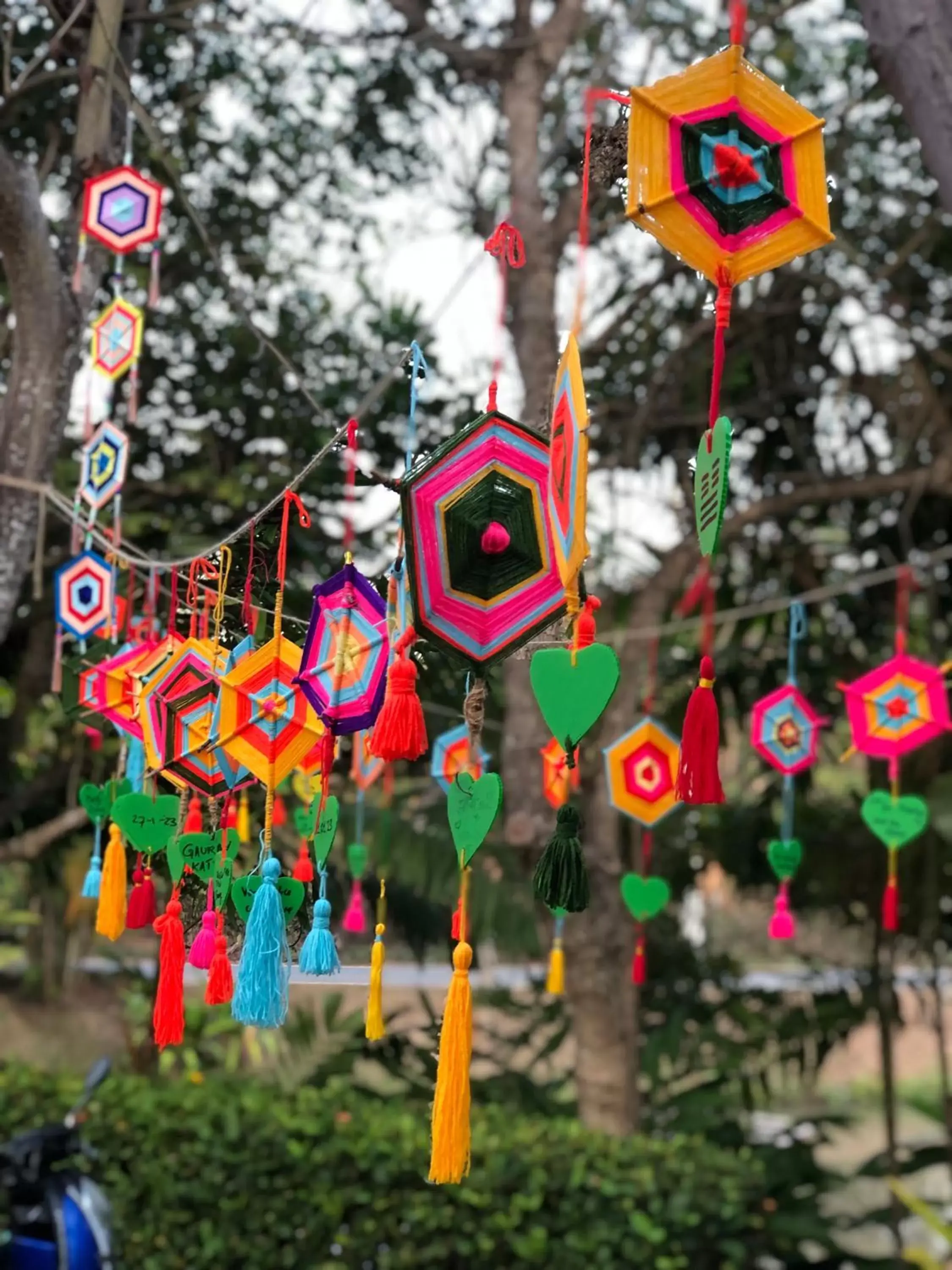 Decorative detail, Other Activities in Pura Vida Pai Resort