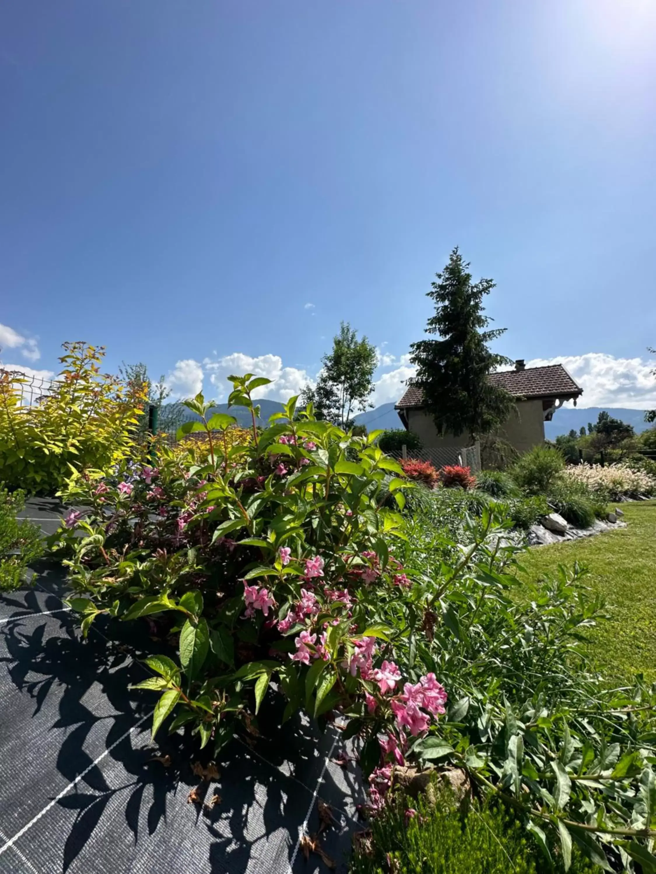 Garden in La Villa d'Hélène 2 - Chambres d'hôtes BnB et Appartements - Cluses