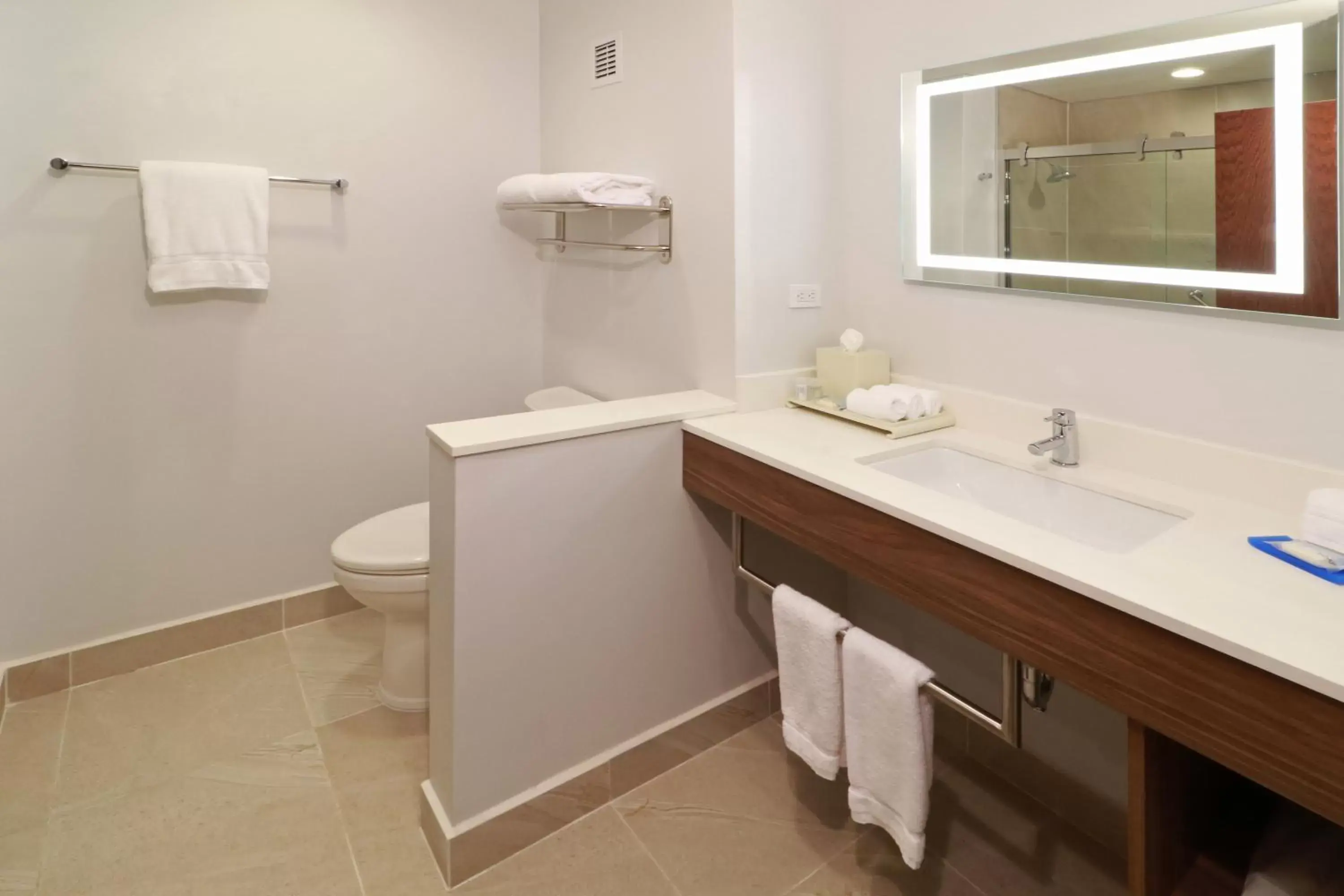 Photo of the whole room, Bathroom in Holiday Inn Express & Suites - Ensenada Centro, an IHG Hotel