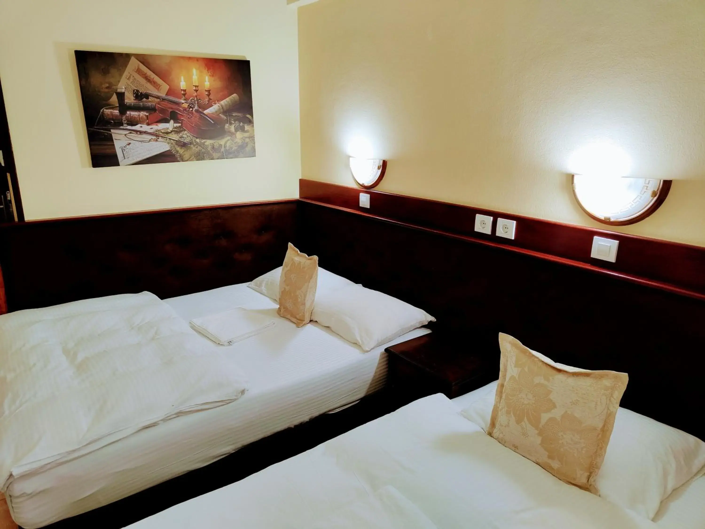 Standard Twin Room - single occupancy in Hotel Kapistec Skopje