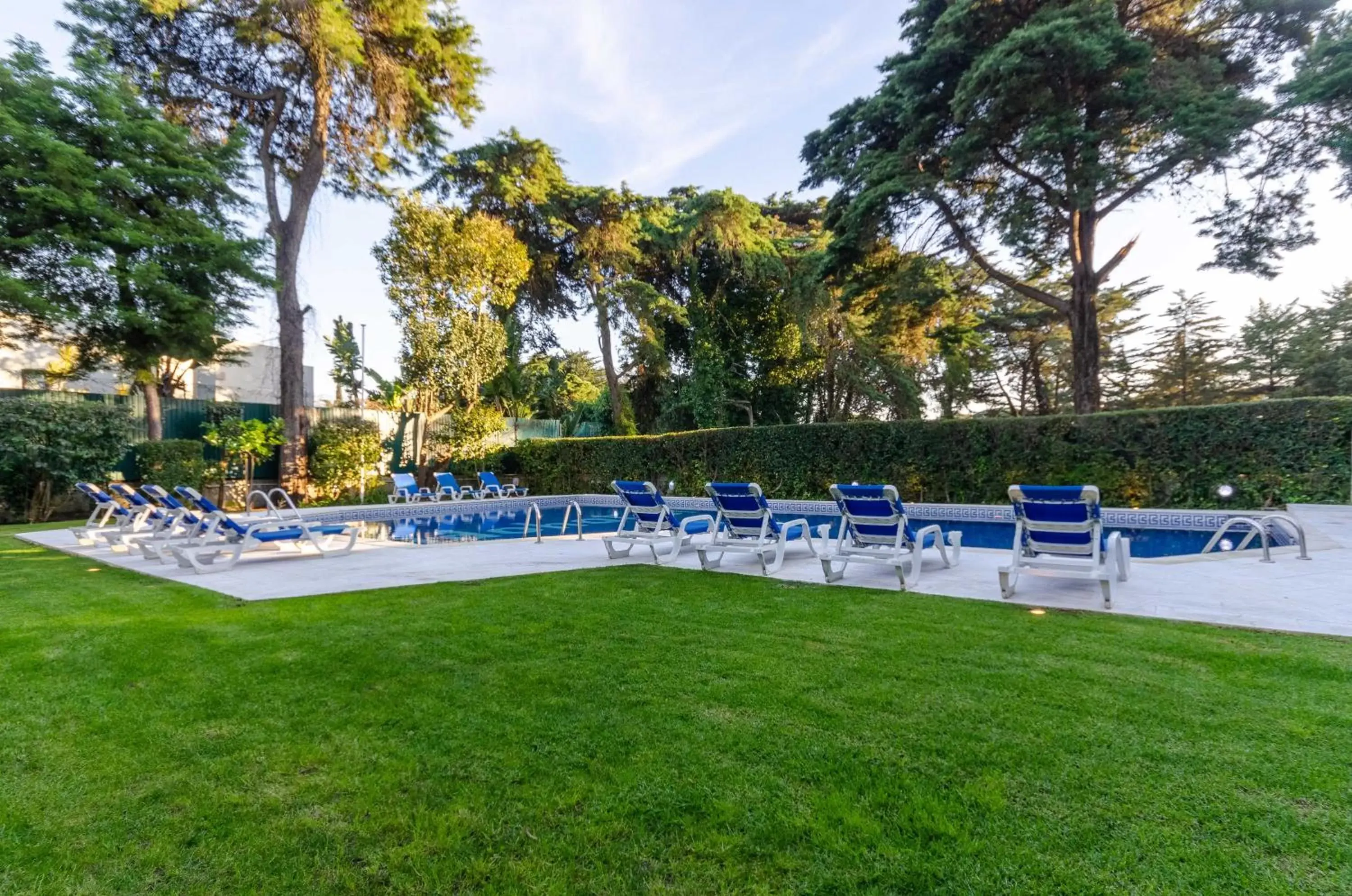 Garden, Swimming Pool in Hotel Lido