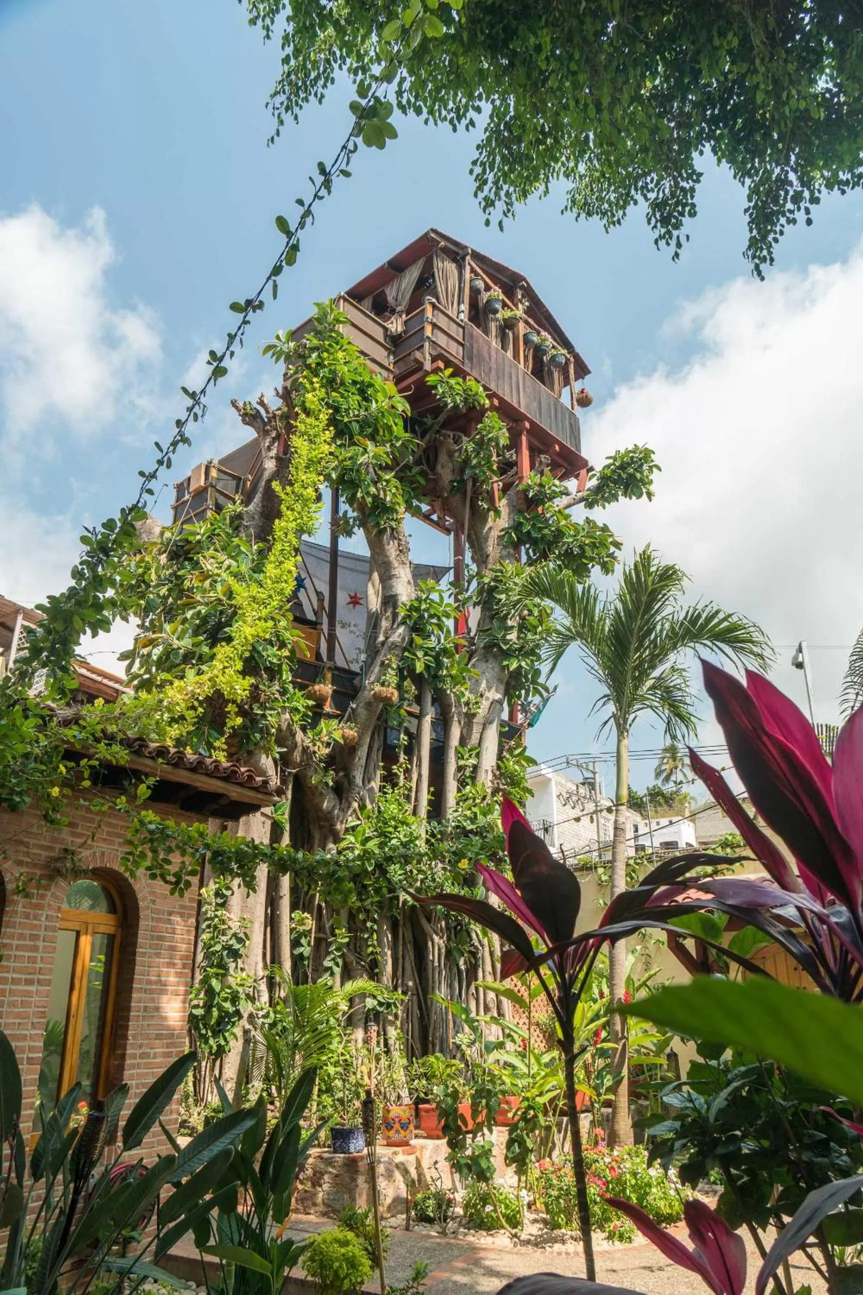 Garden, Property Building in Hacienda Escondida Puerto Vallarta