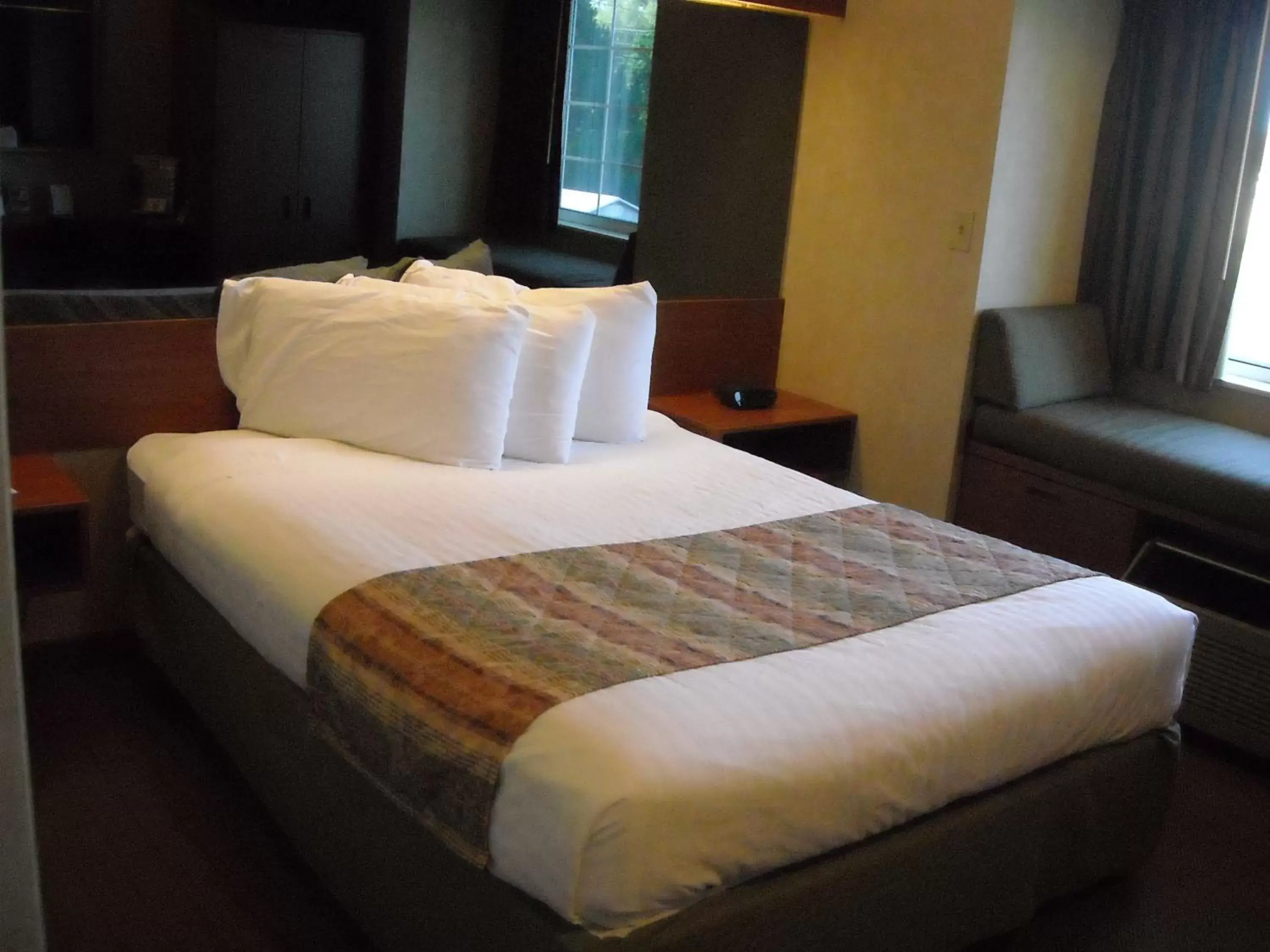 Bed in Microtel Inn & Suites Springville