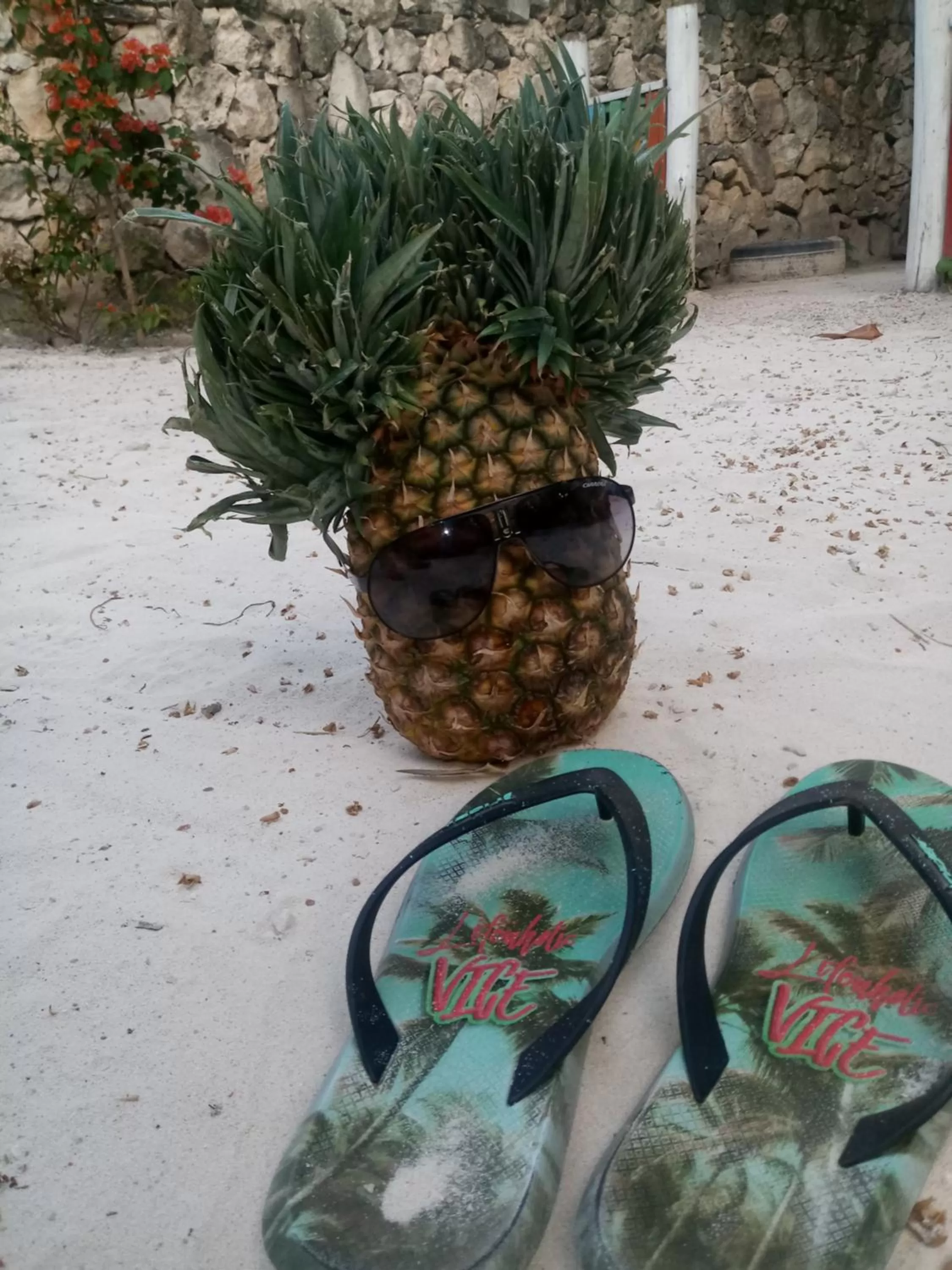 Hot Tub in Riviera Punta Cana Eco Travelers