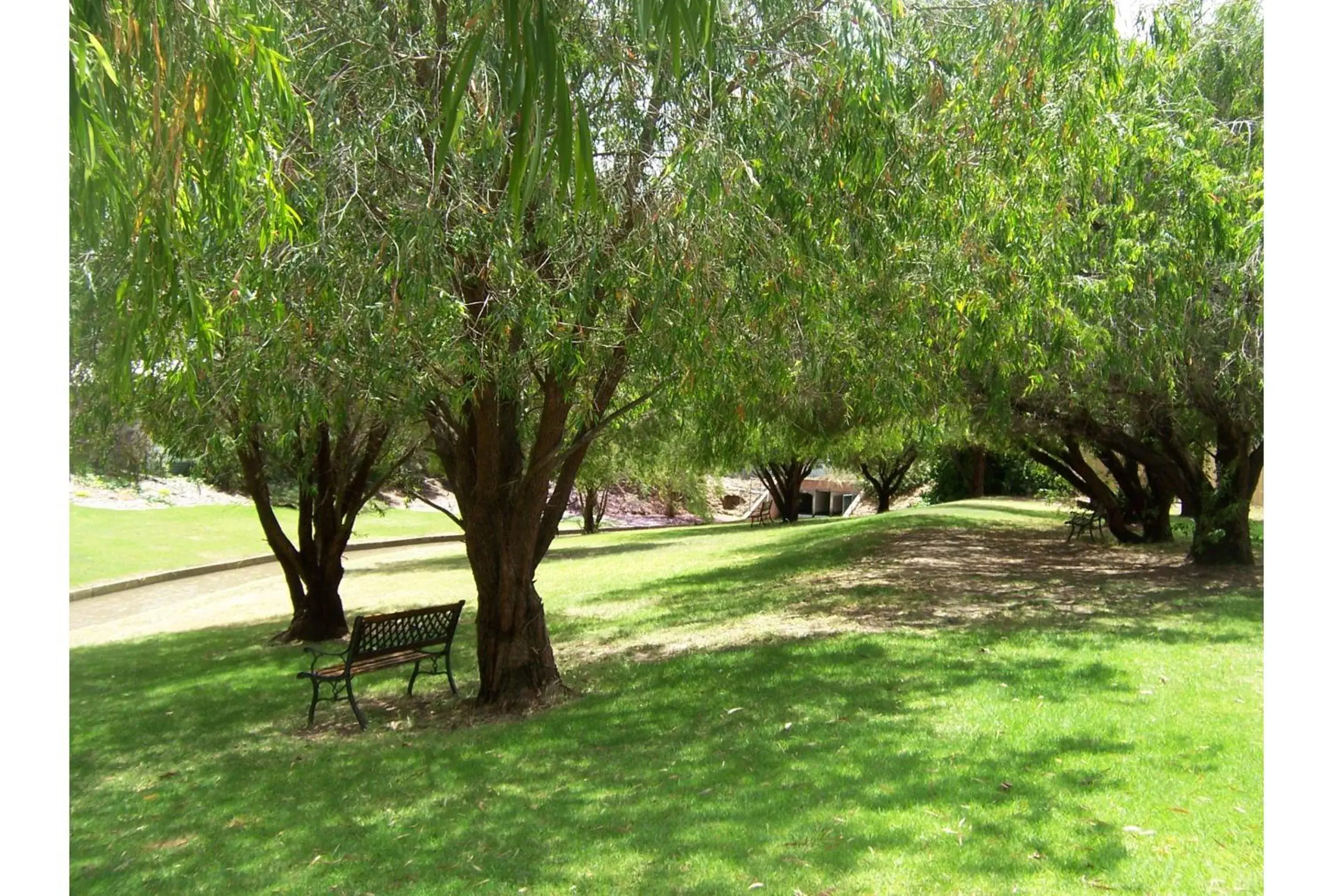 Garden in Discovery Parks - Perth Airport