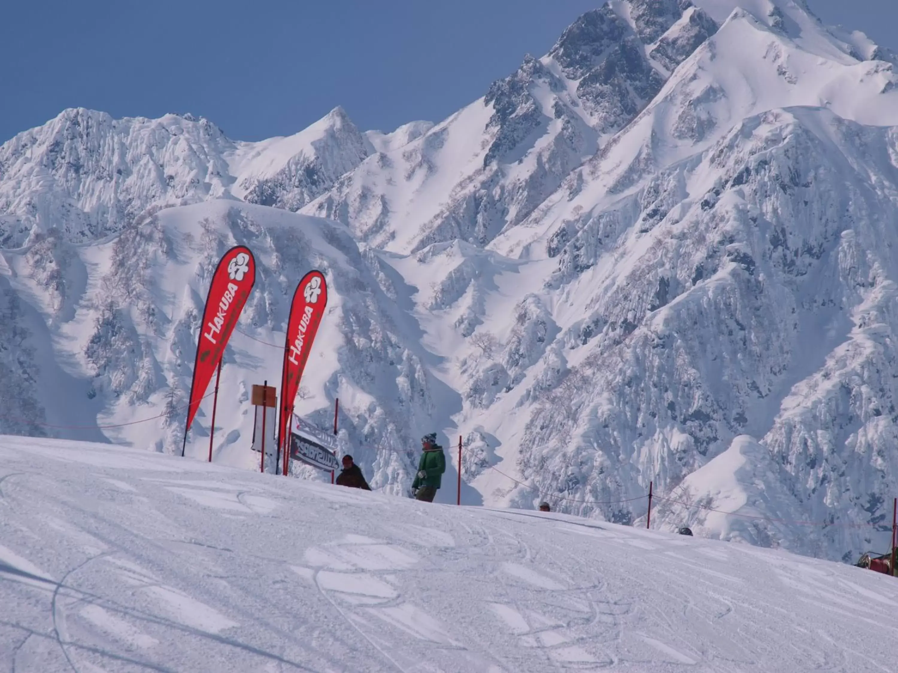 Skiing, Winter in Hotel Oak Forest