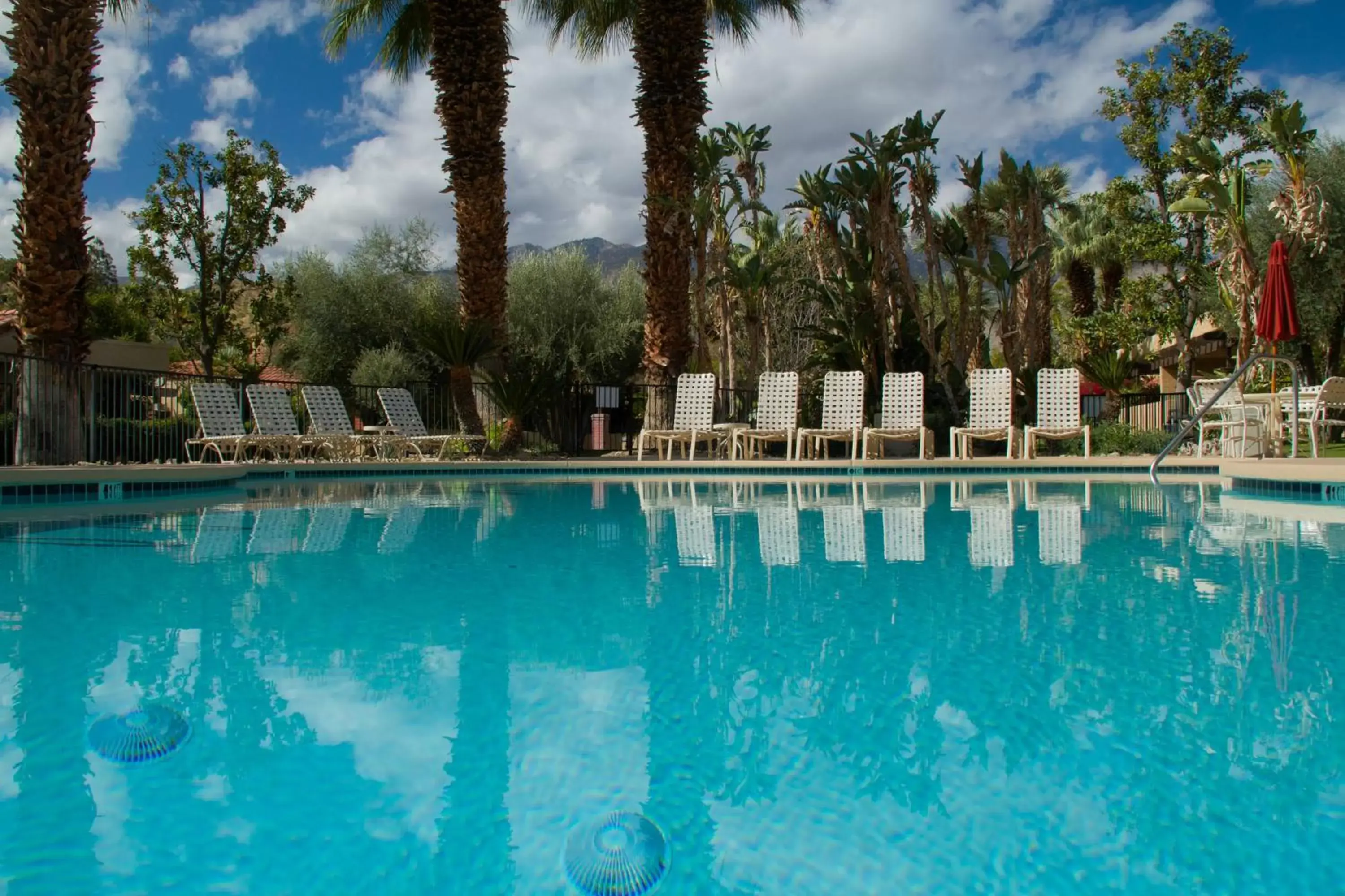 Swimming Pool in The Oasis Resort