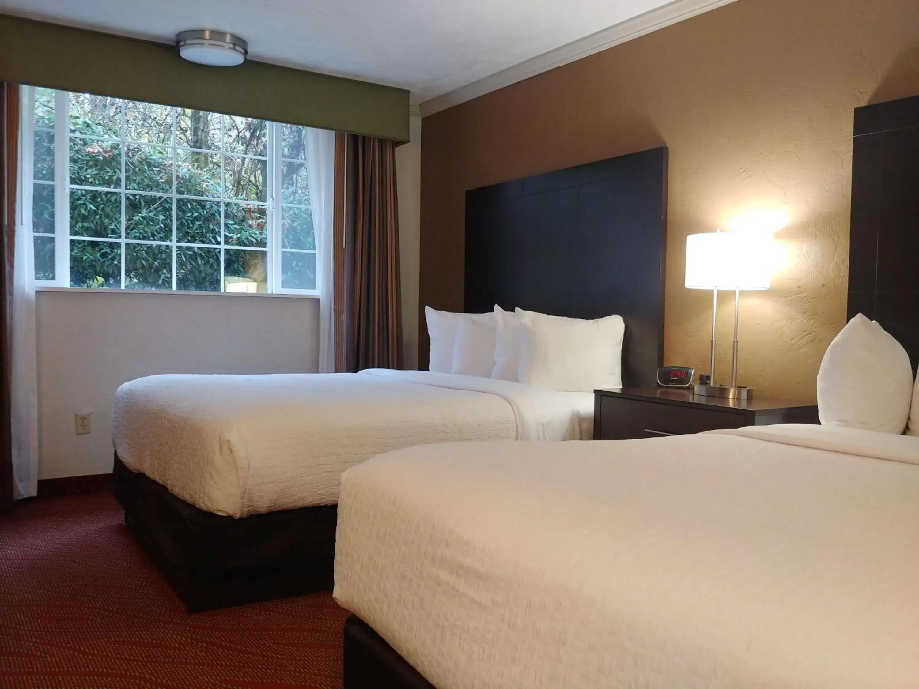 Photo of the whole room, Bed in Best Western Plus Parkway Inn