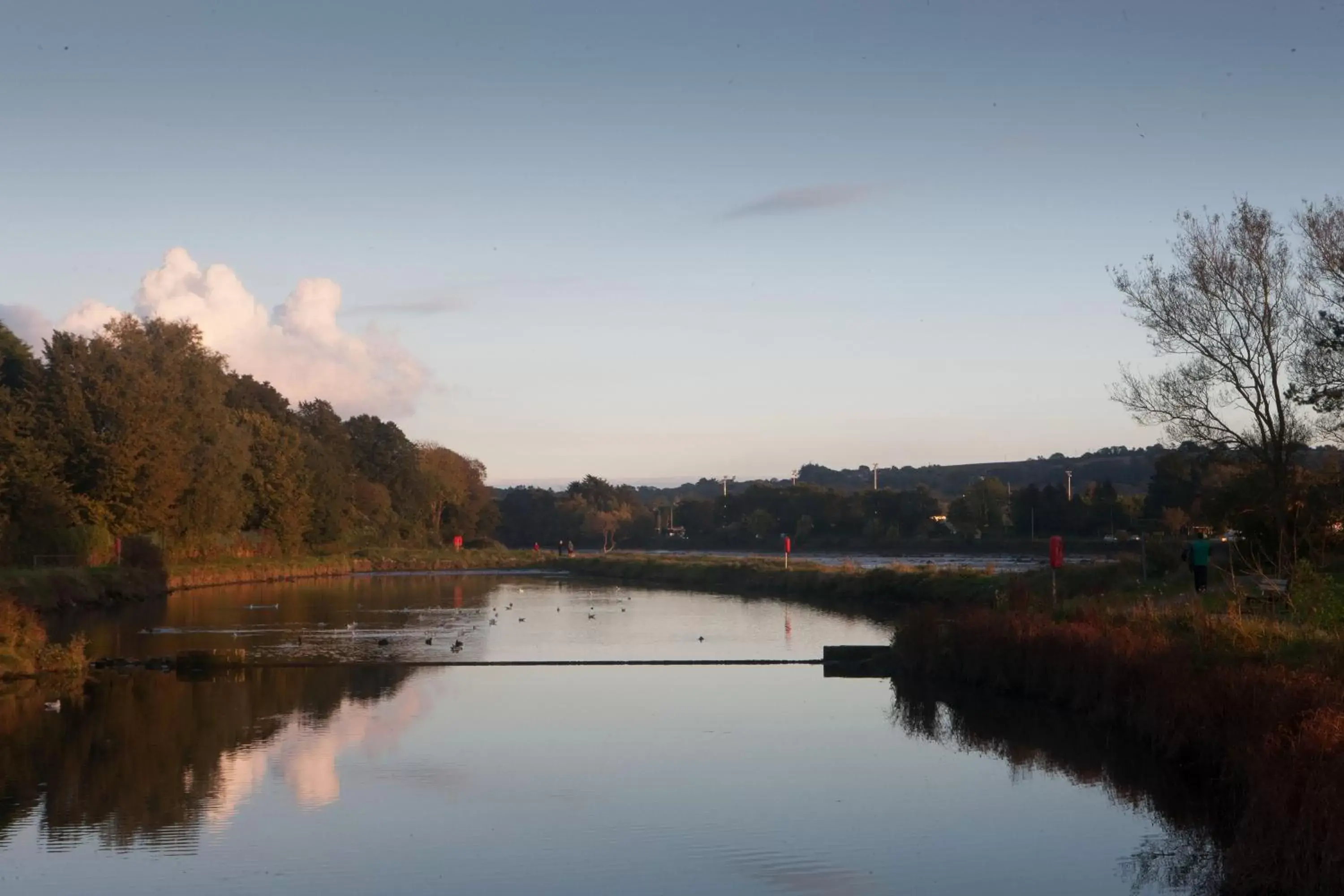 Natural landscape in Carrigaline Court Hotel & Leisure Centre