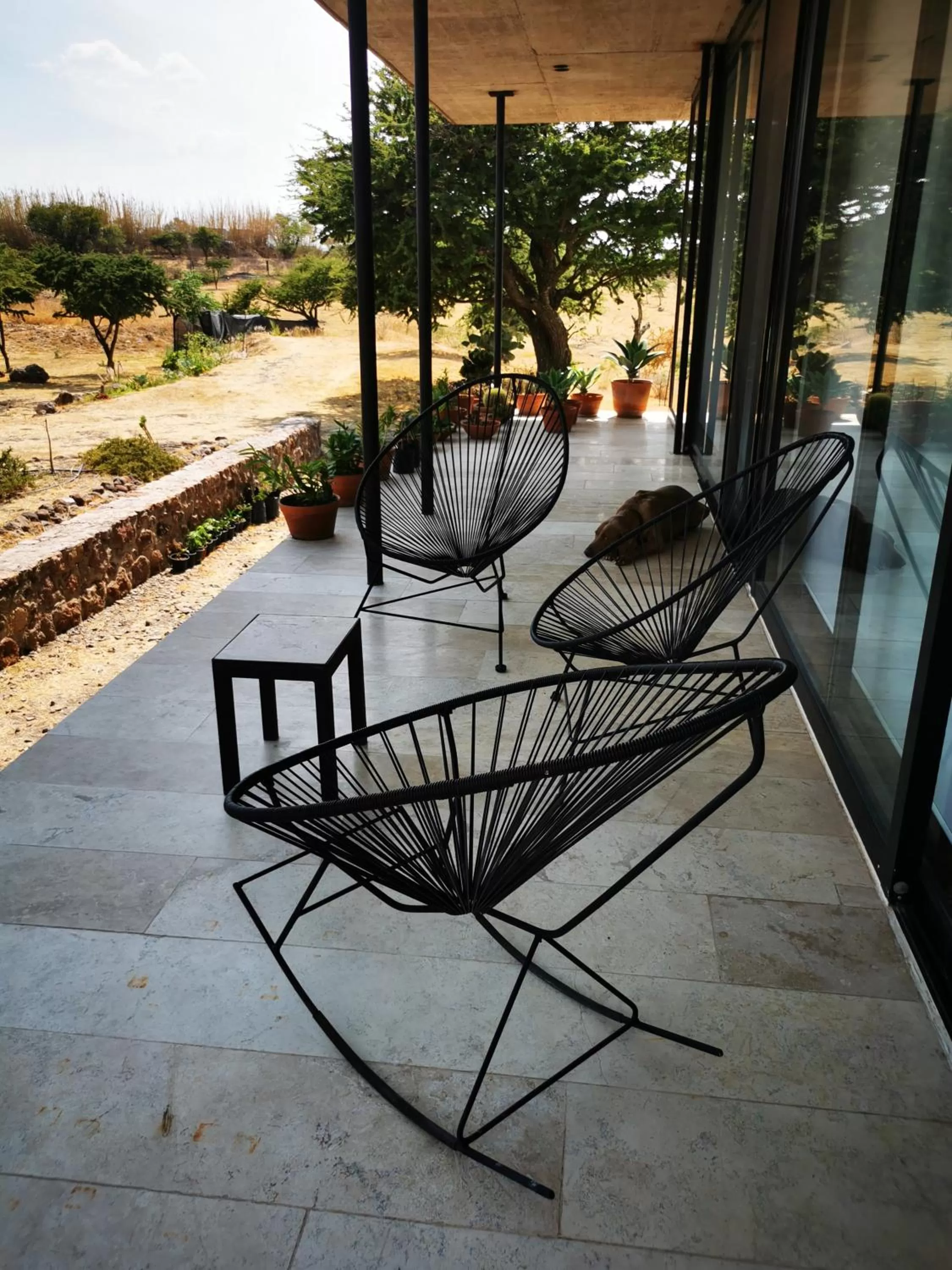 Garden in Casa Terra SMA