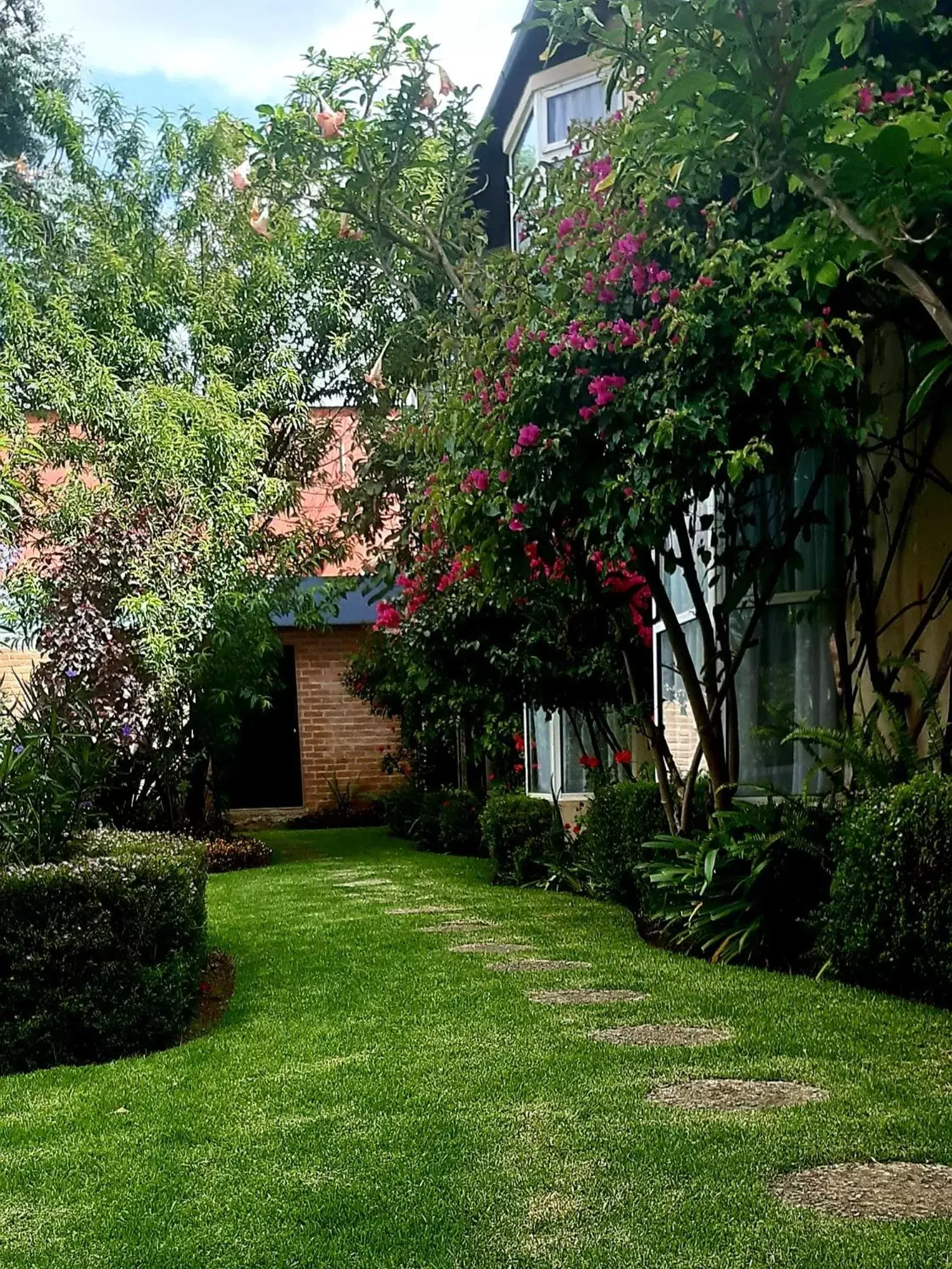 Garden in Hoteles Villa Mercedes San Cristobal
