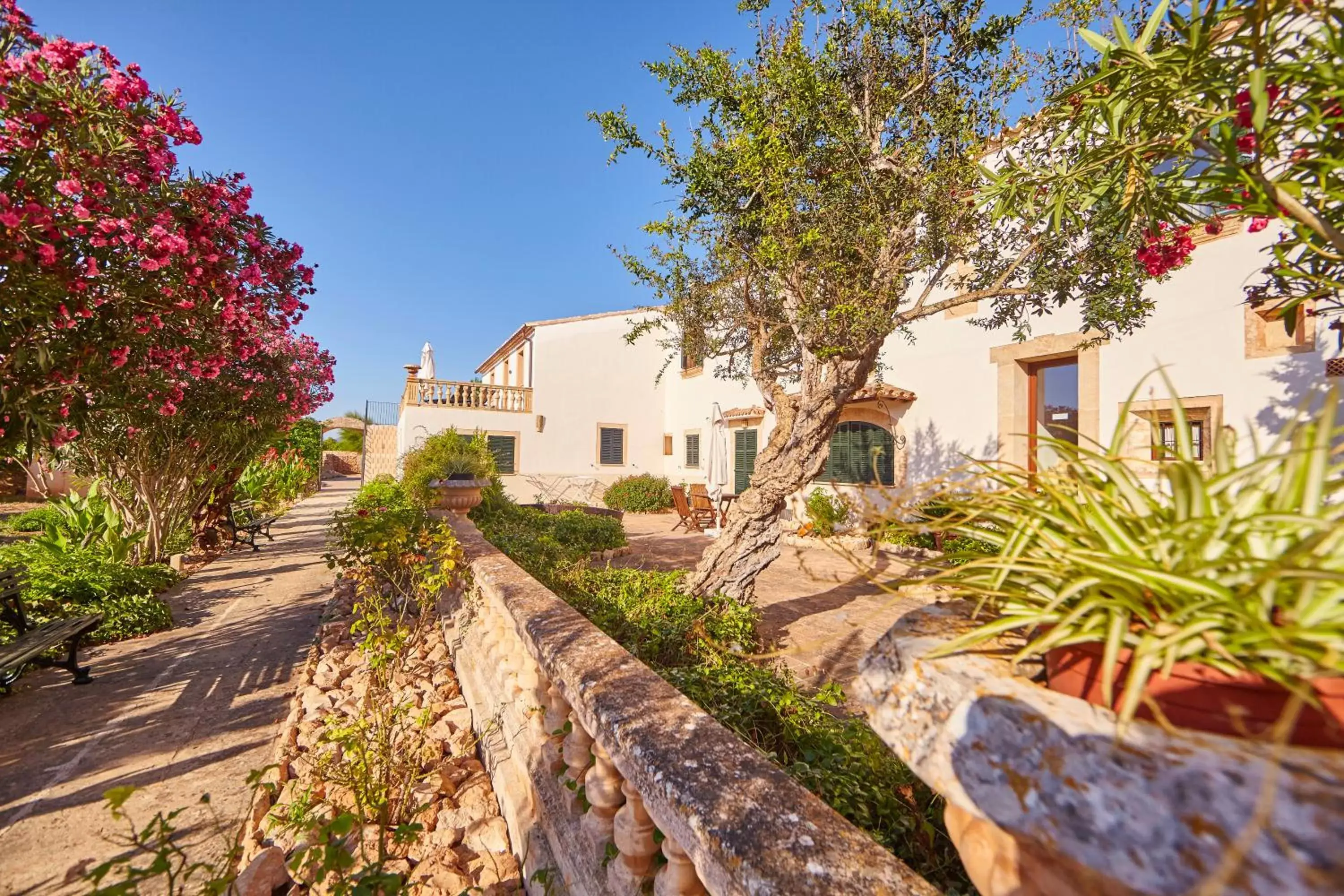 Garden in Bennoc Petit Hotel