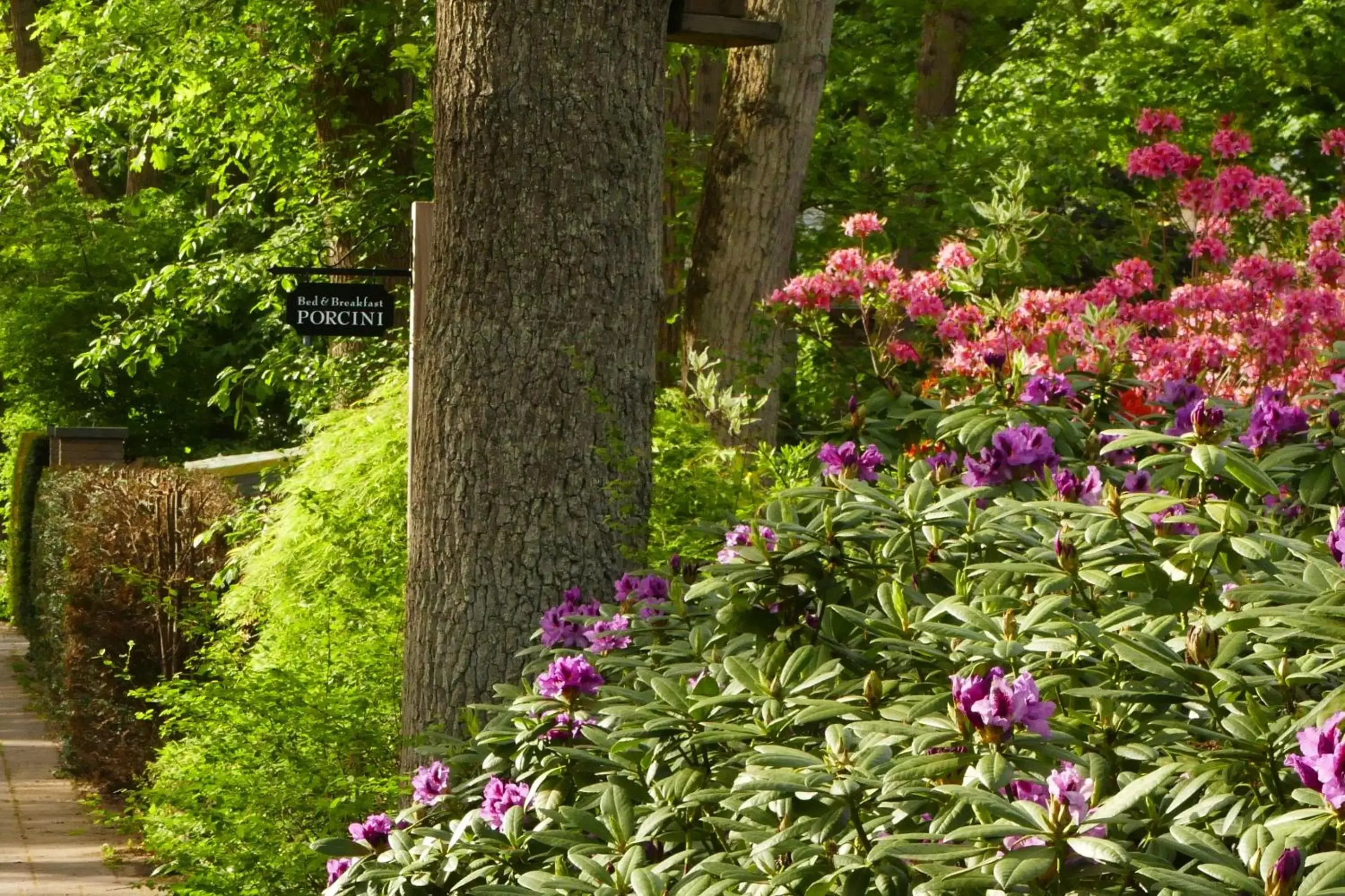 Garden in B&B Porcini