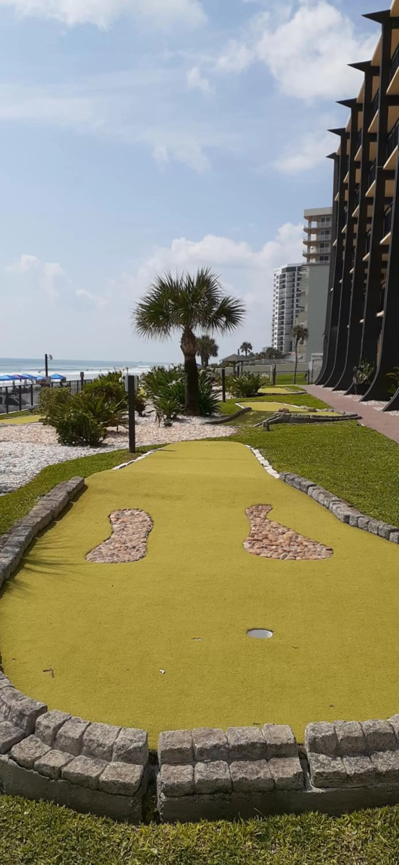 Garden in Daytona Beach Hawaiian Inn