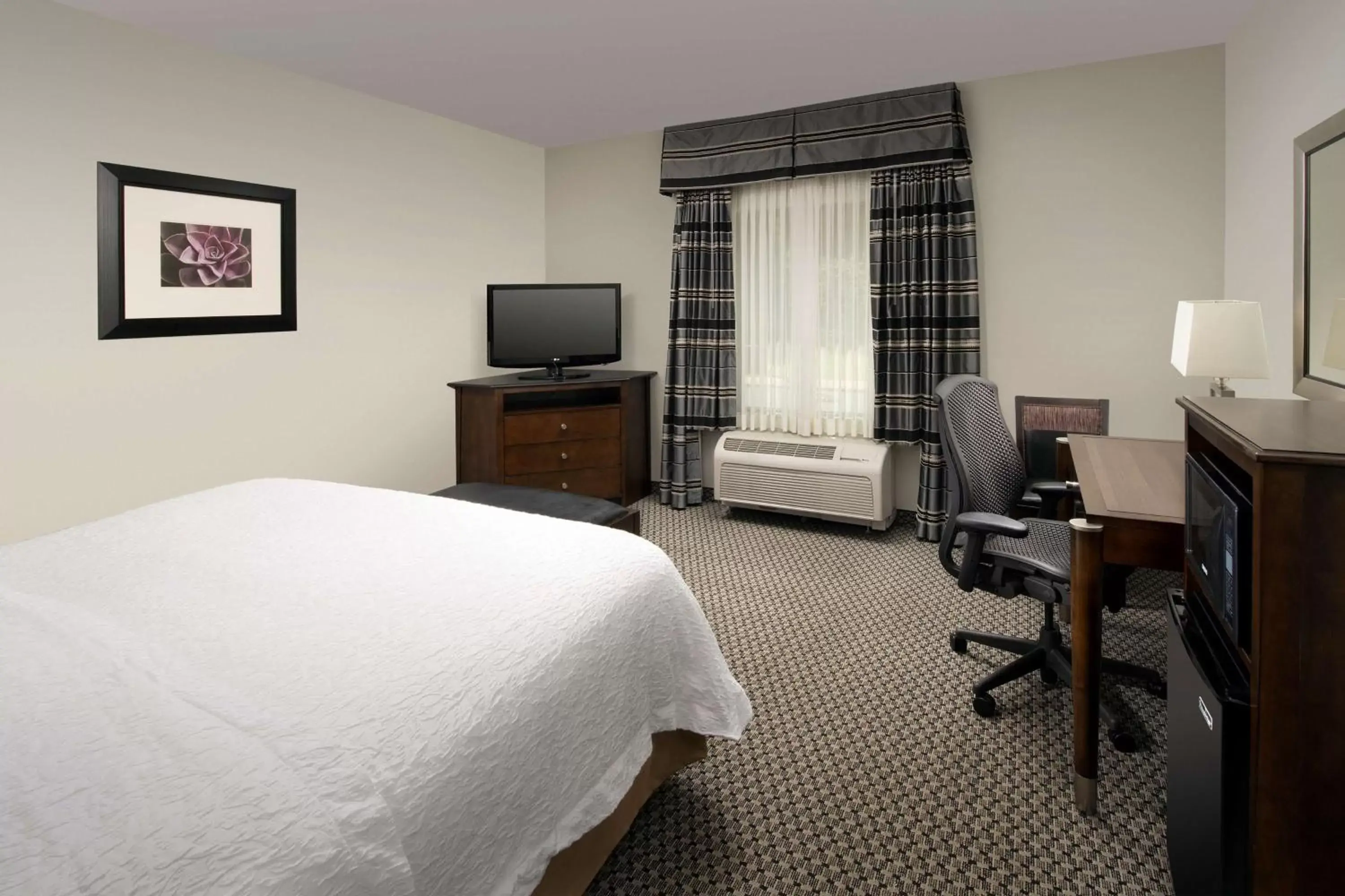 Bed, TV/Entertainment Center in Hampton Inn & Suites Athens/Interstate 65