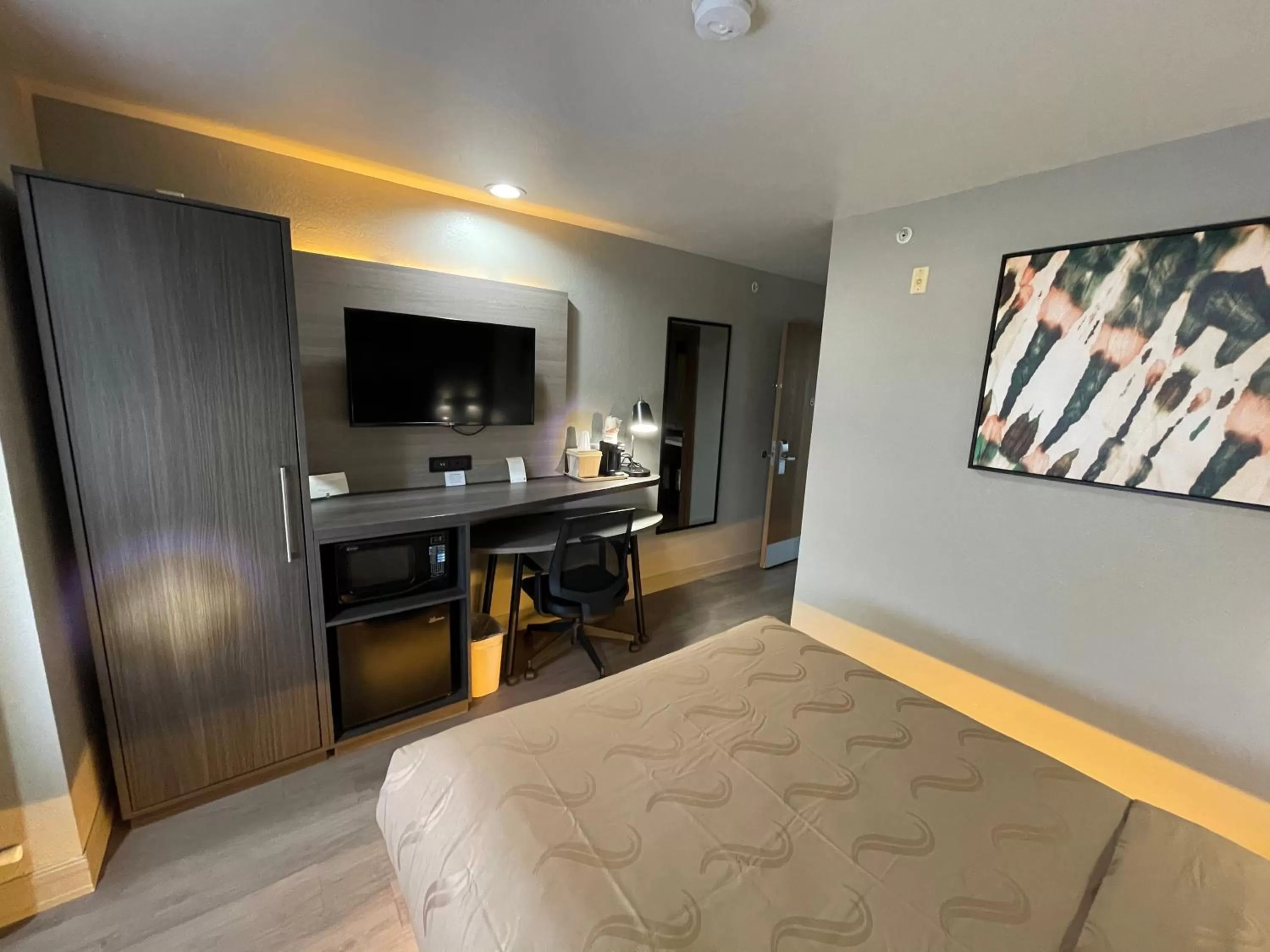 TV and multimedia, Bed in Quality Inn & Suites North Mesquite I-30