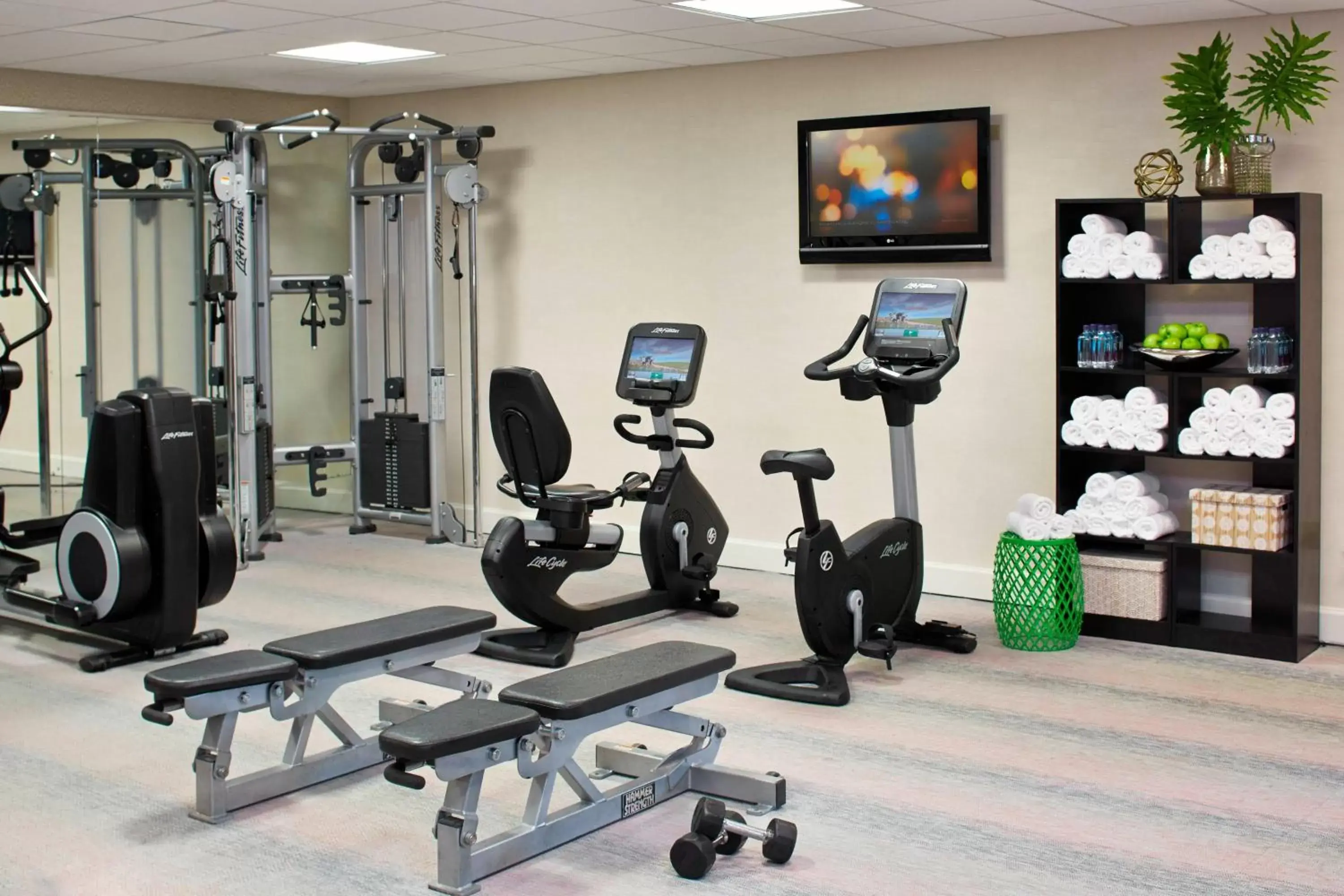 Fitness centre/facilities, Fitness Center/Facilities in Renaissance Orlando Airport Hotel
