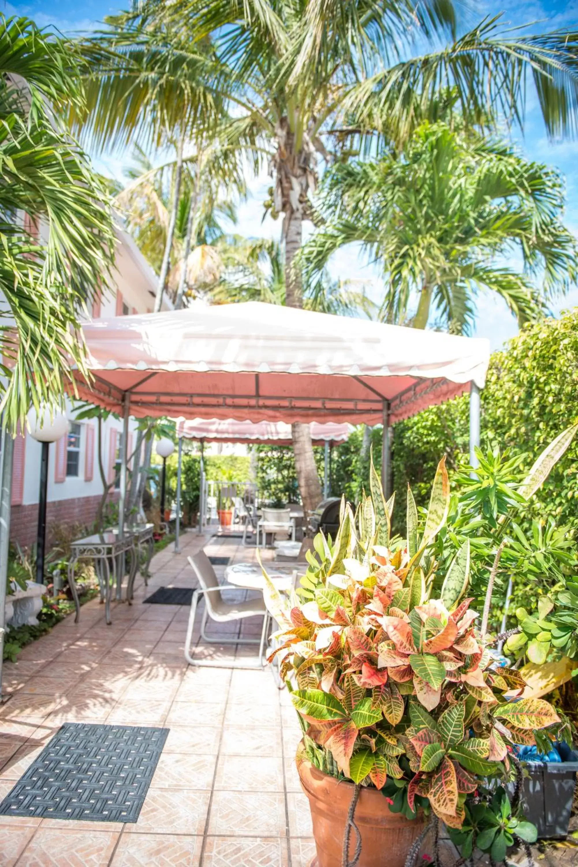 BBQ facilities, Patio/Outdoor Area in Shore Haven Resort Inn