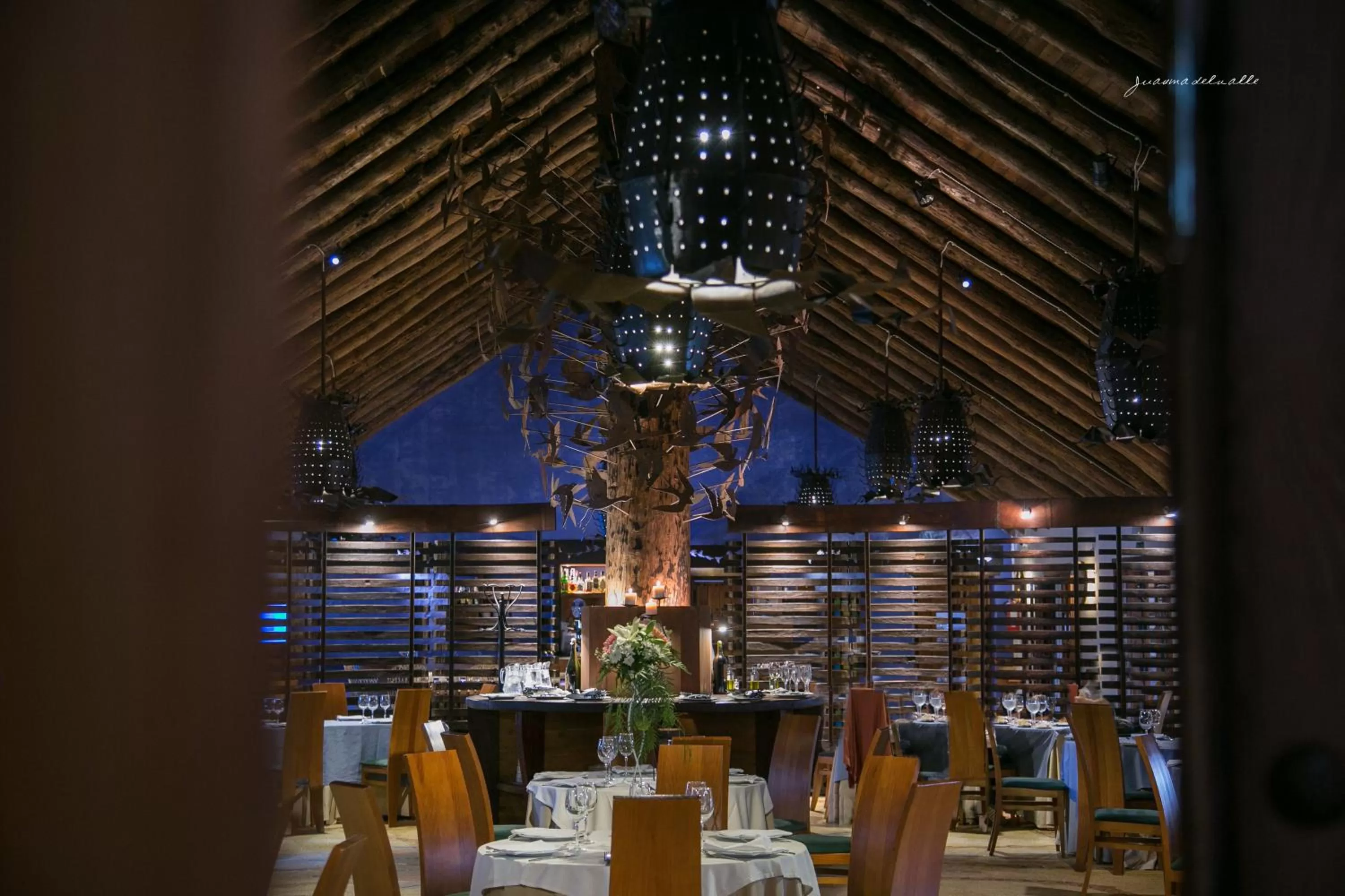 Restaurant/places to eat in Ardea Purpurea