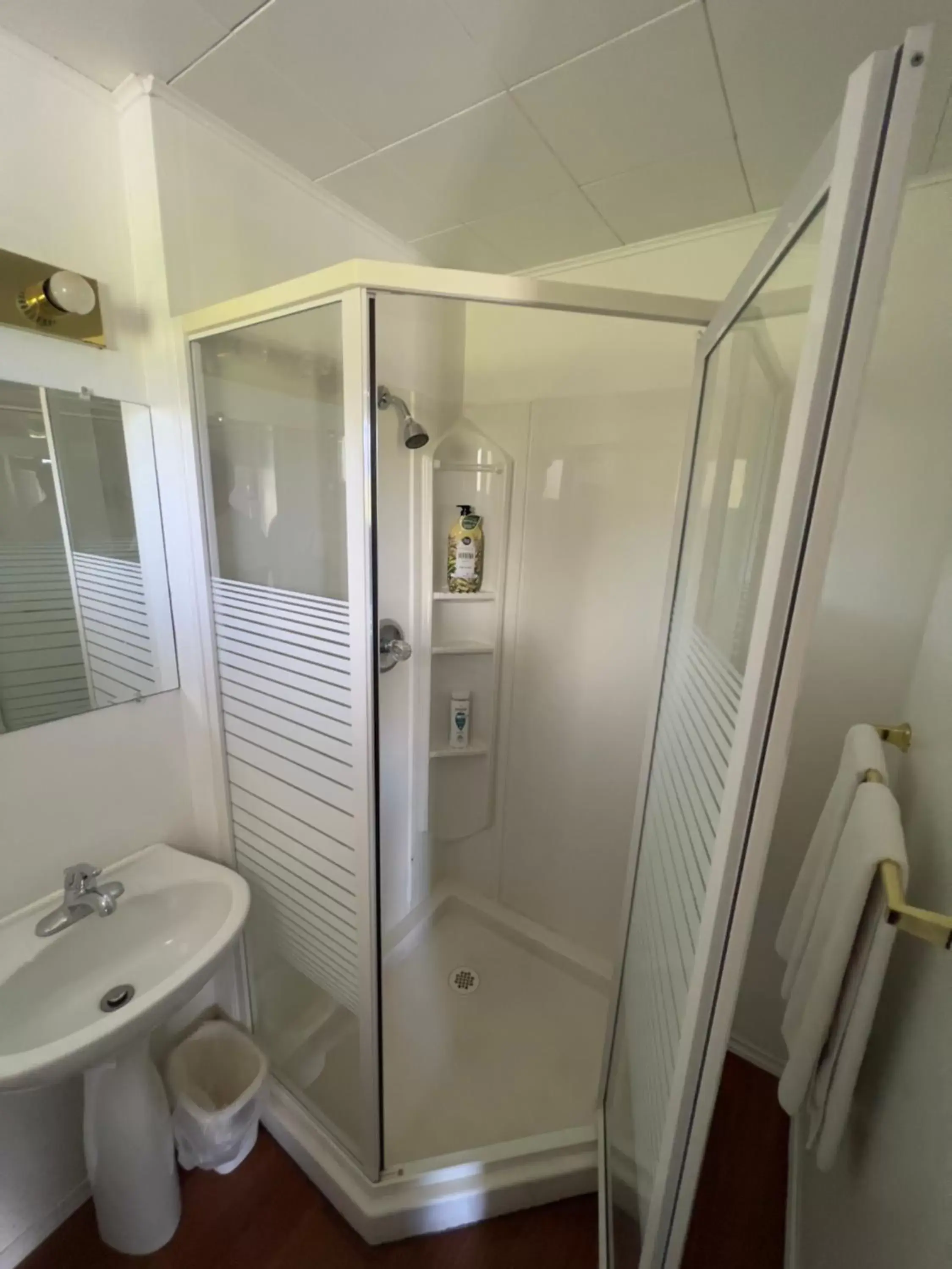 Shower, Bathroom in Monashee Motel