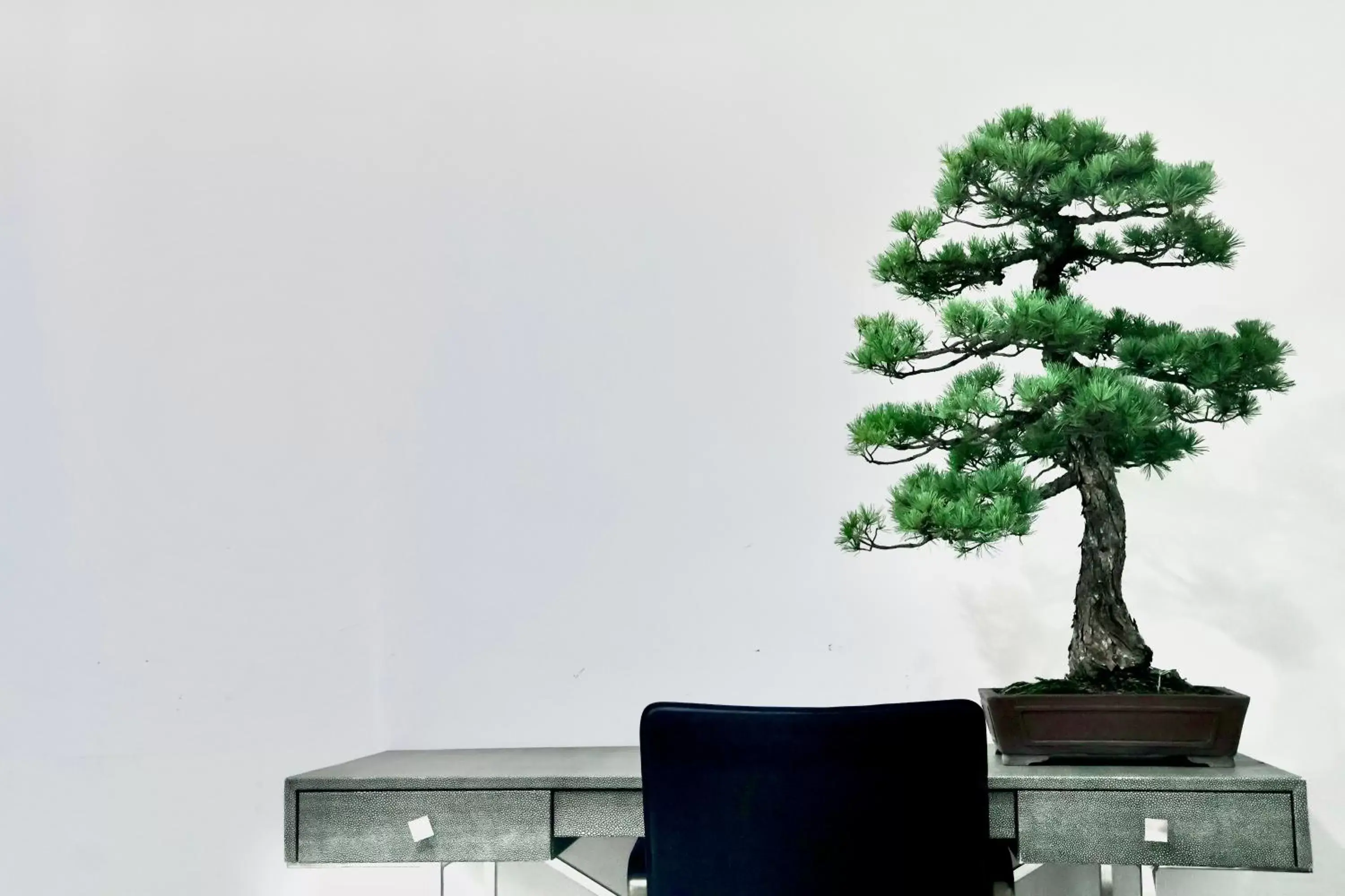 King Room 102 in THE ROOT2 HOTEL King Room 102 in THE ROOT2 HOTEL