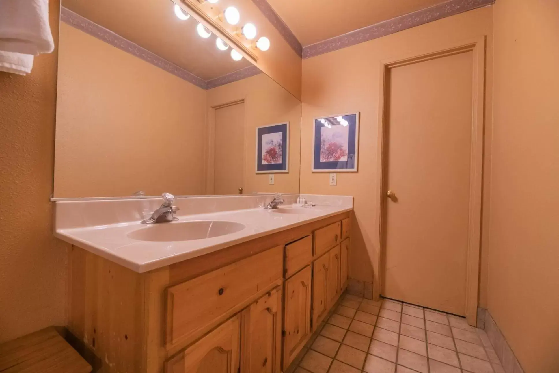 Bathroom in Black Forest Lodge