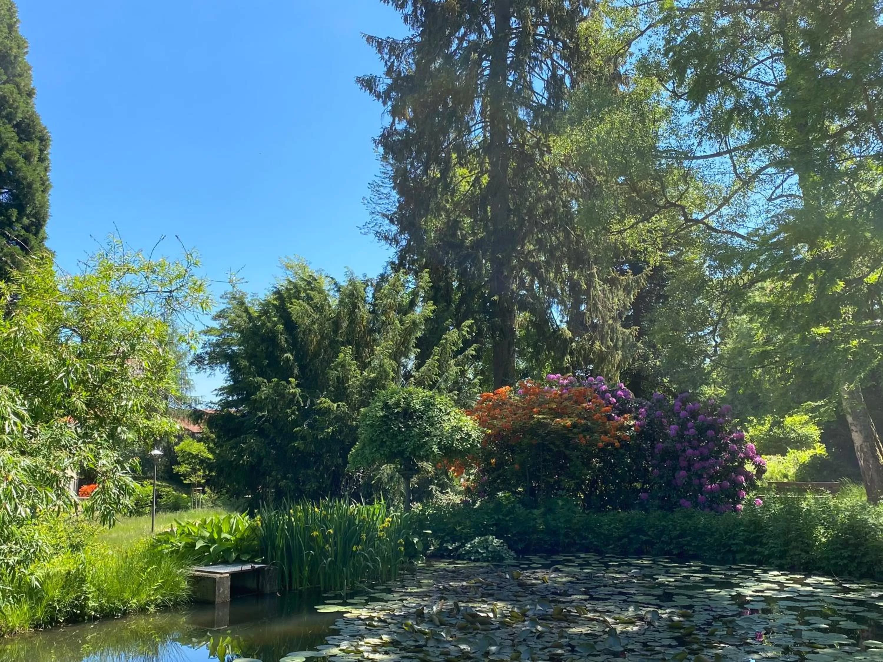 Nearby landmark in Hotel Pension Gelpkes Mühle