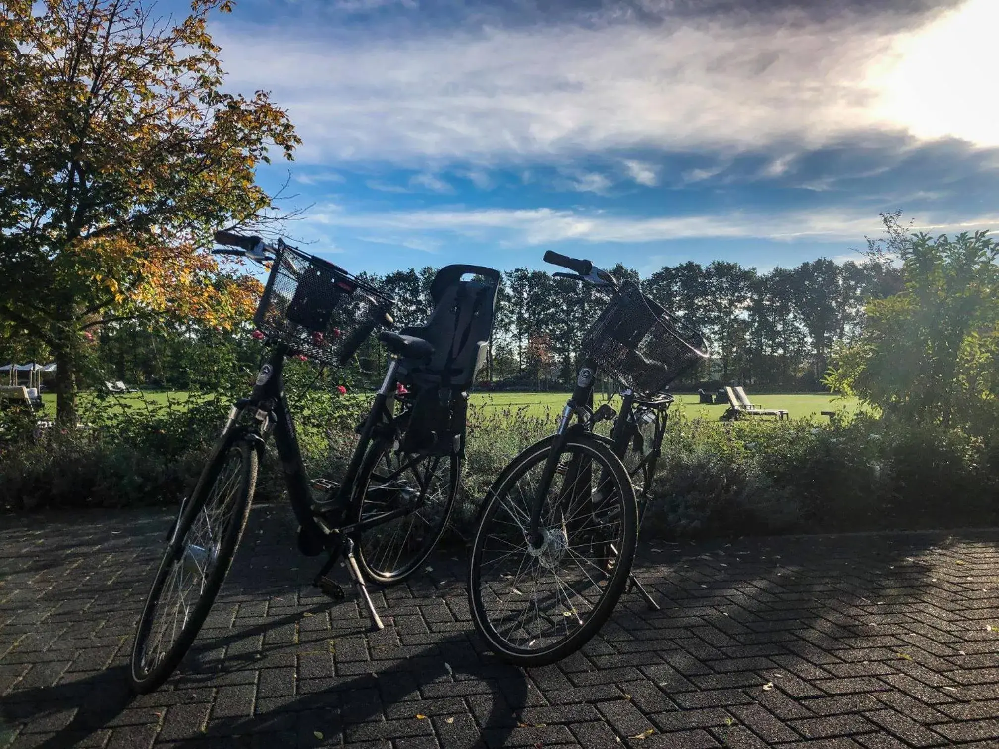 Activities, Biking in Parkhotel De Wiemsel