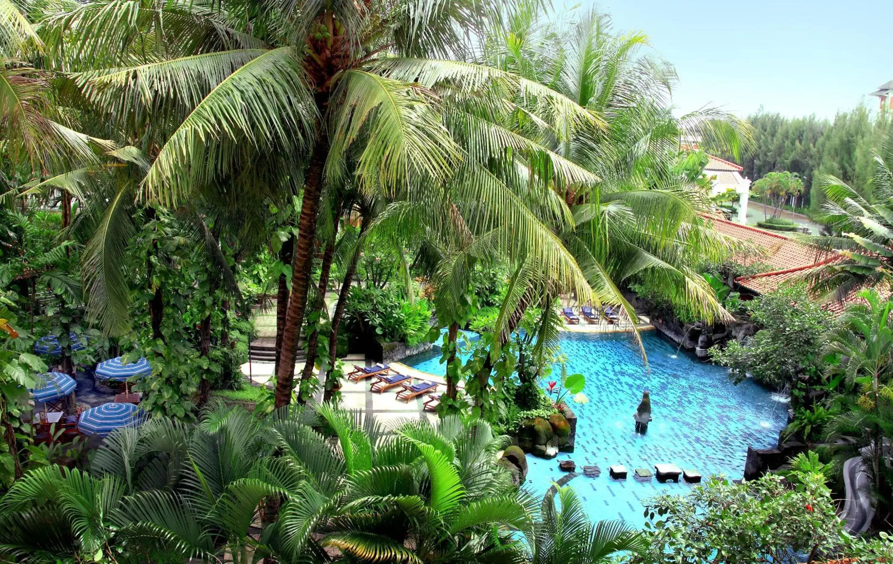 Swimming pool, Pool View in Melia Purosani Yogyakarta