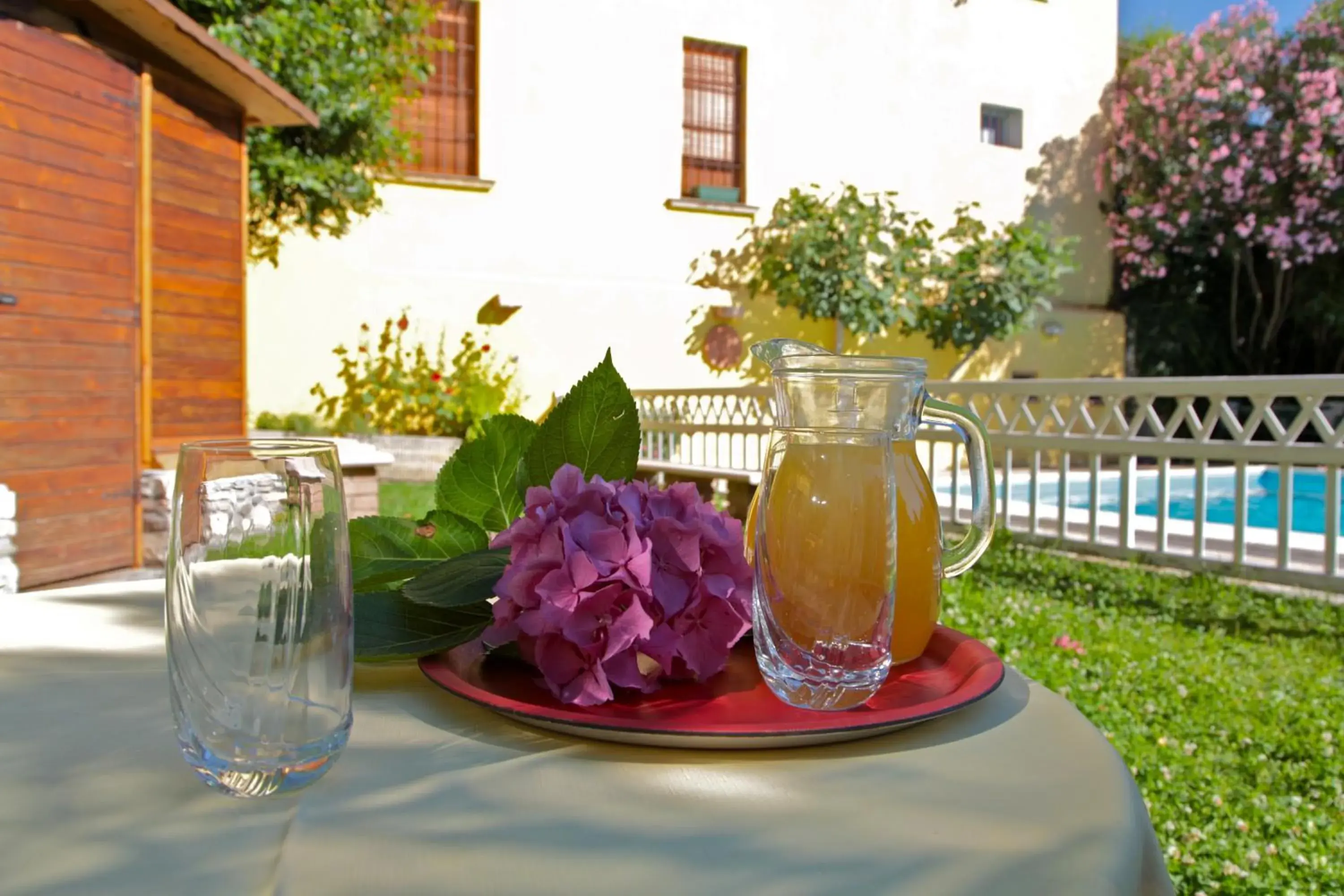 Garden in Hotel San Filis