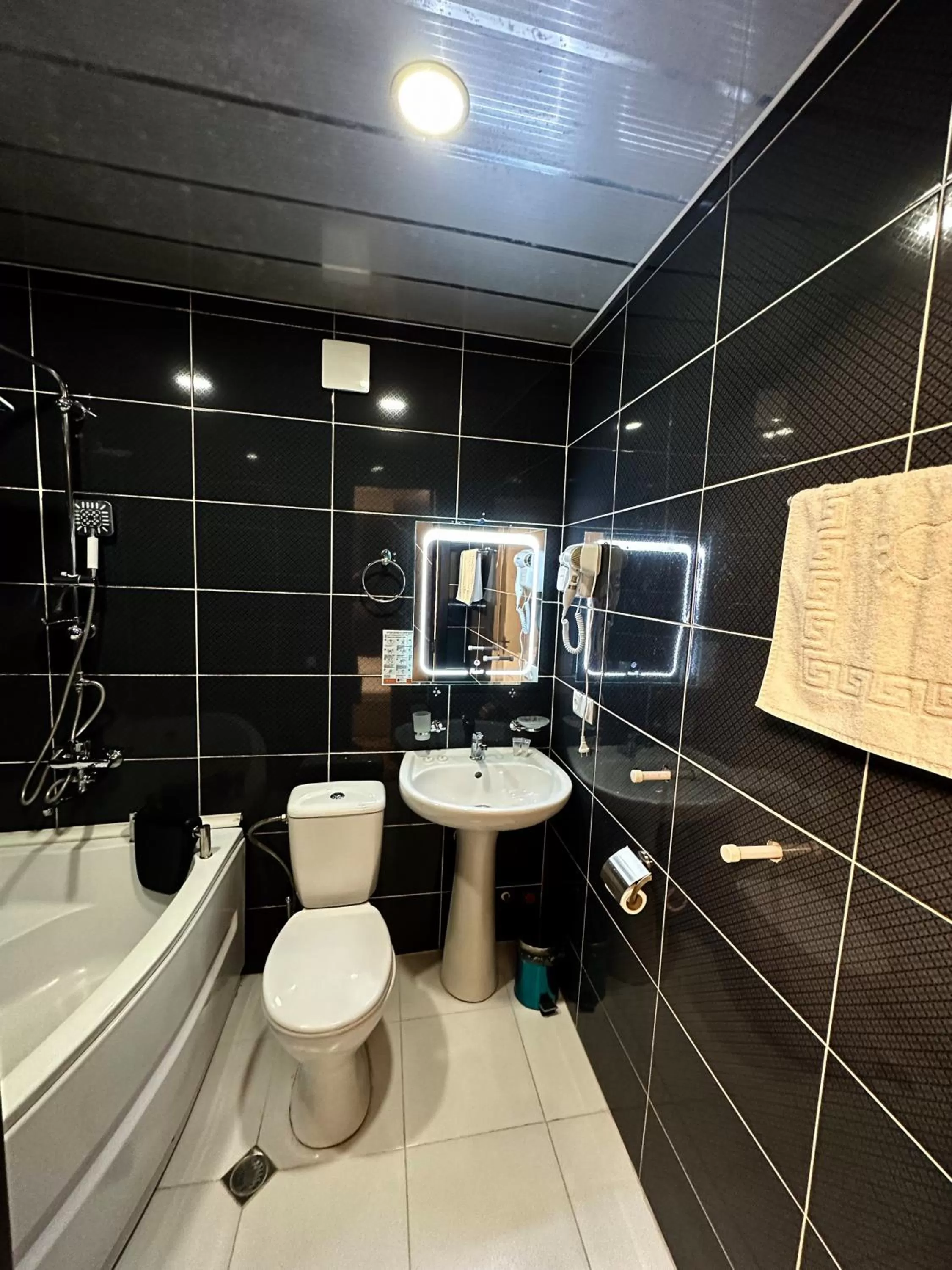 Toilet, Bathroom in Metekhi View Hotel