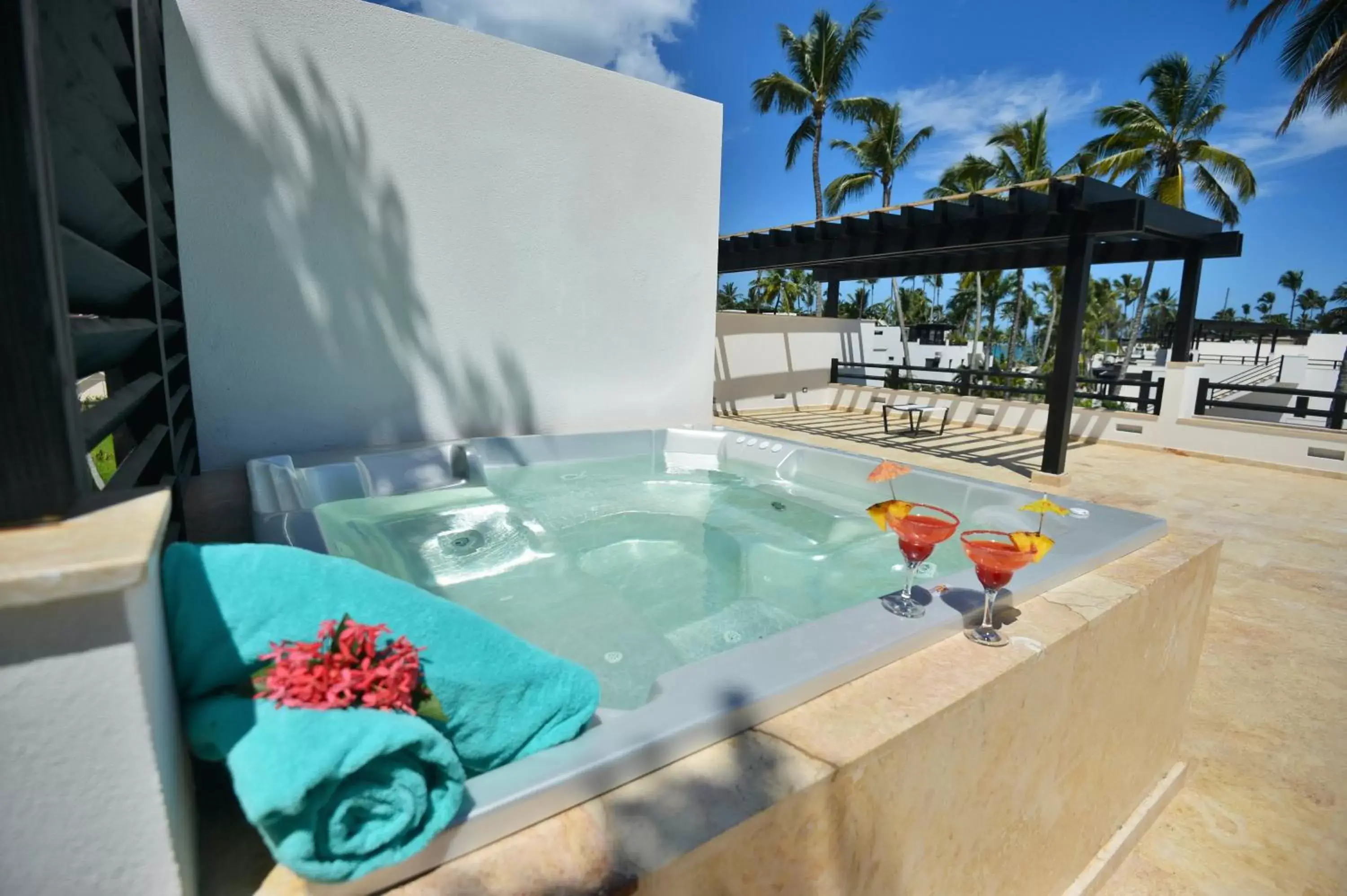 Balcony/Terrace, Swimming Pool in Aligio Apart-hotel & Spa - Las Terrenas