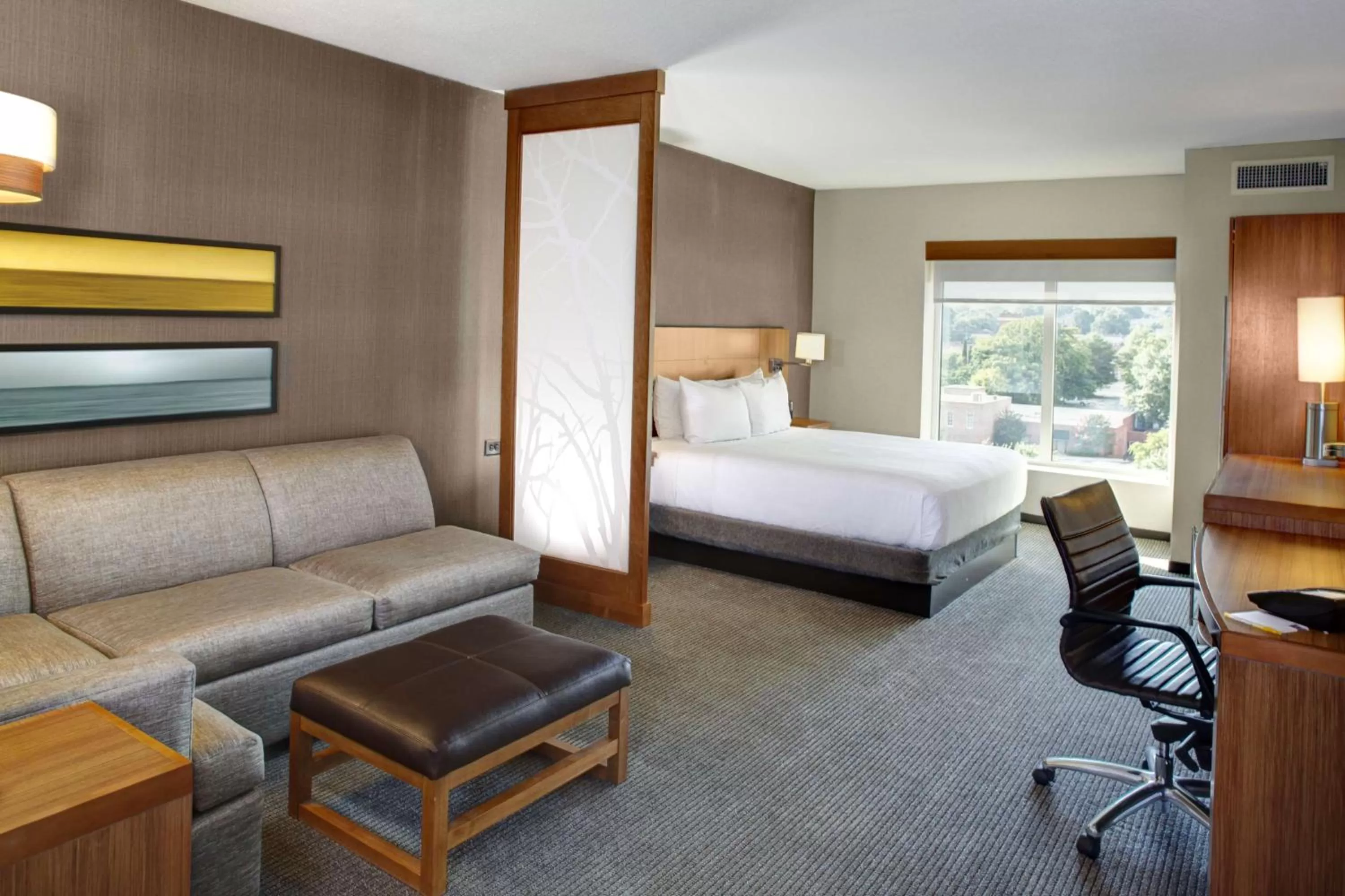 King Room with Sofa Bed and Roll-In Shower - Disability Access in Hyatt Place Columbia/Downtown/The Vista