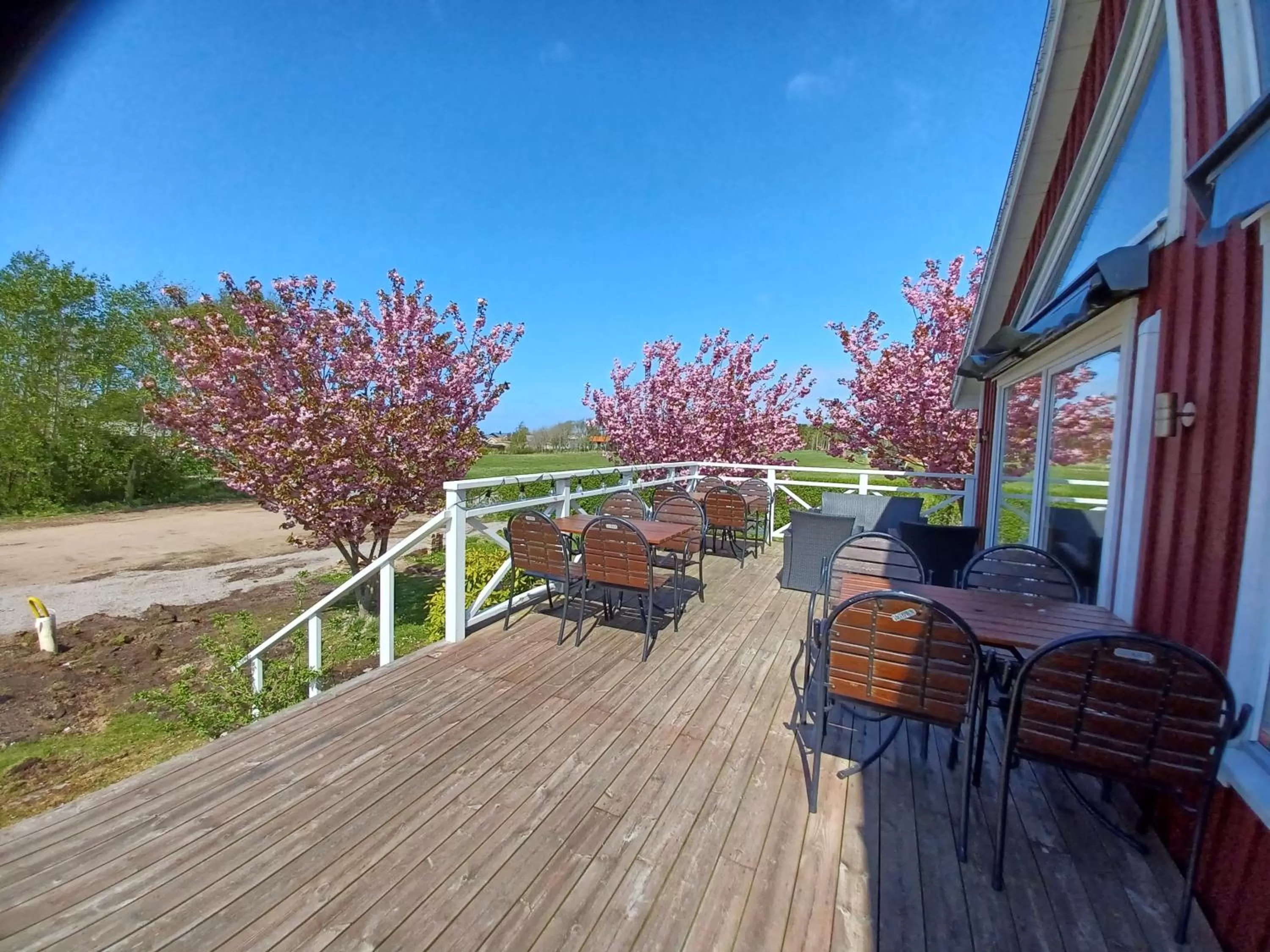 Restaurant/places to eat in Solstickan Hotell & Vandrarhem